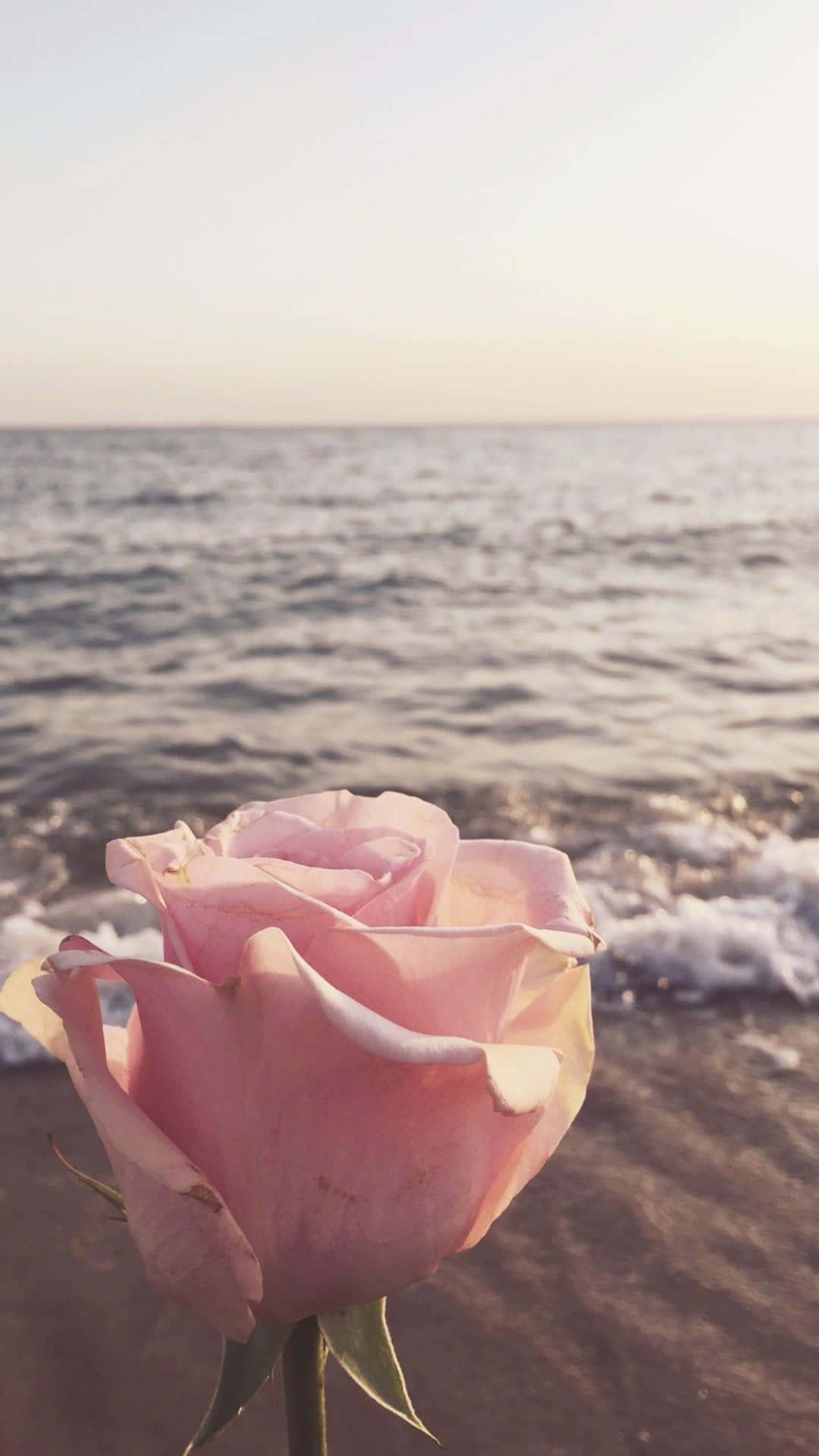 Enjoy the vibrant colors of summer! — 1080x1920 wallpaper