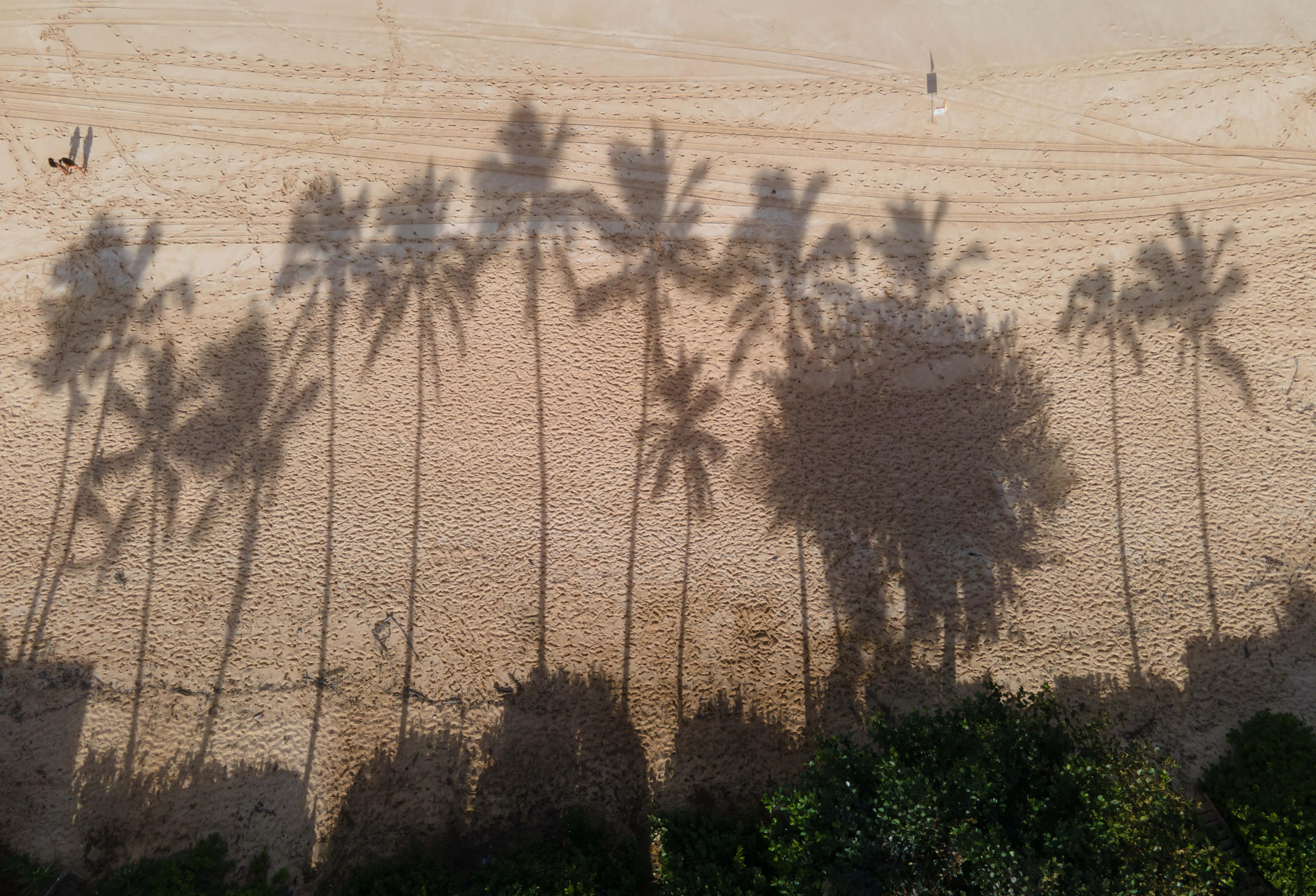 Enjoying a Breath of Fresh Air at The Beach — 5400x3677 wallpaper