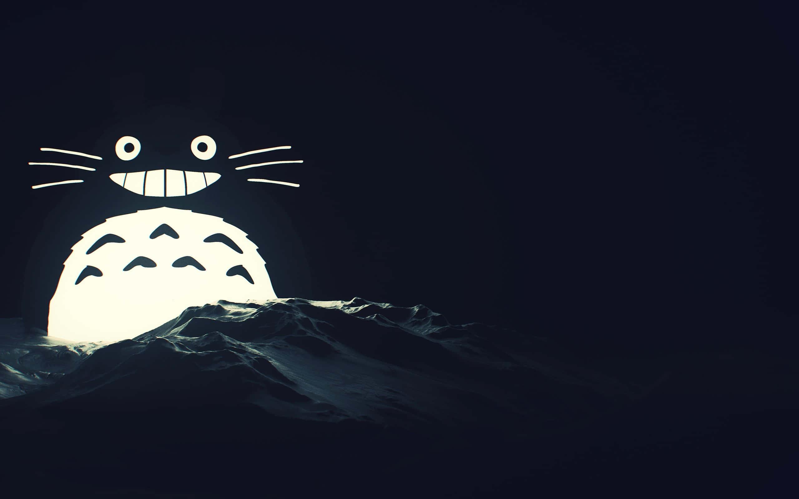 Enjoying A Sunny Day in the Forest — 2560x1600 wallpaper