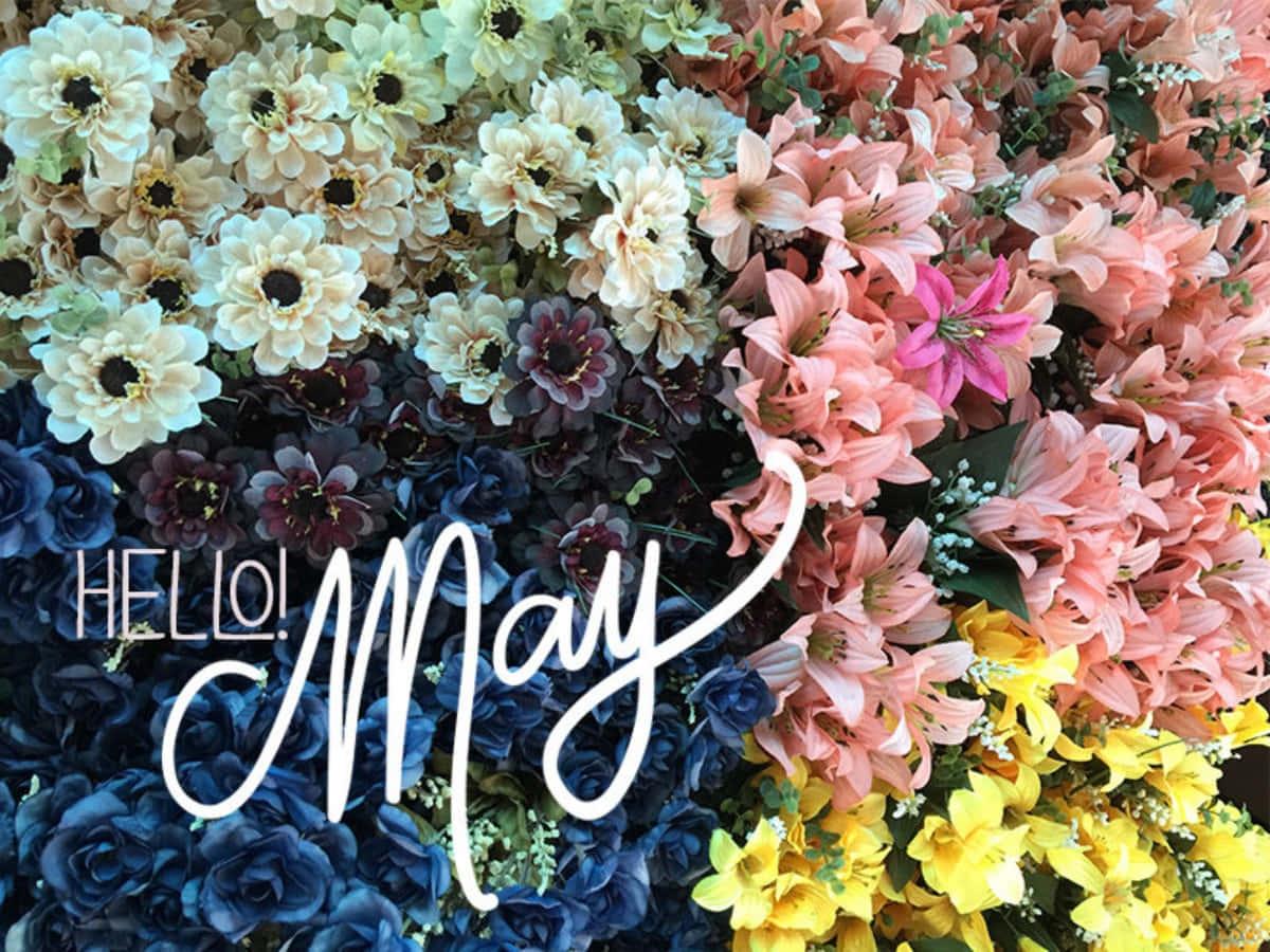 Enjoying the beauty of May! — 1200x900 wallpaper