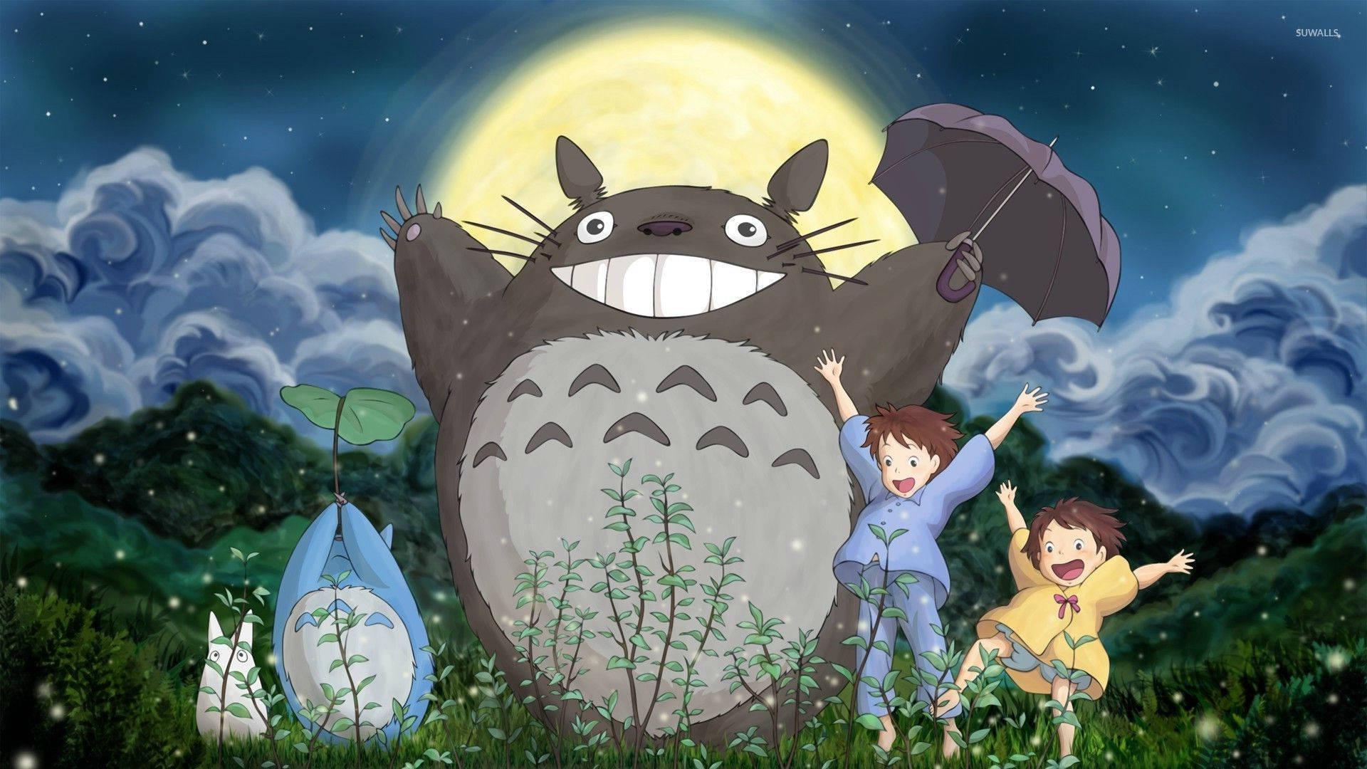 Enjoying the Night with Totoro — 1920x1080 wallpaper