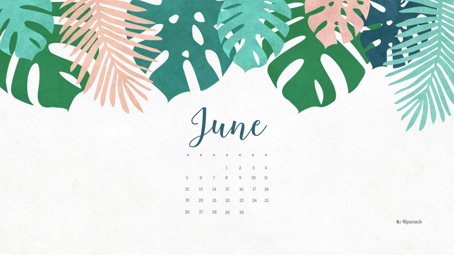 Enjoying the summer days with June's tropical escape — 1920x1079 wallpaper