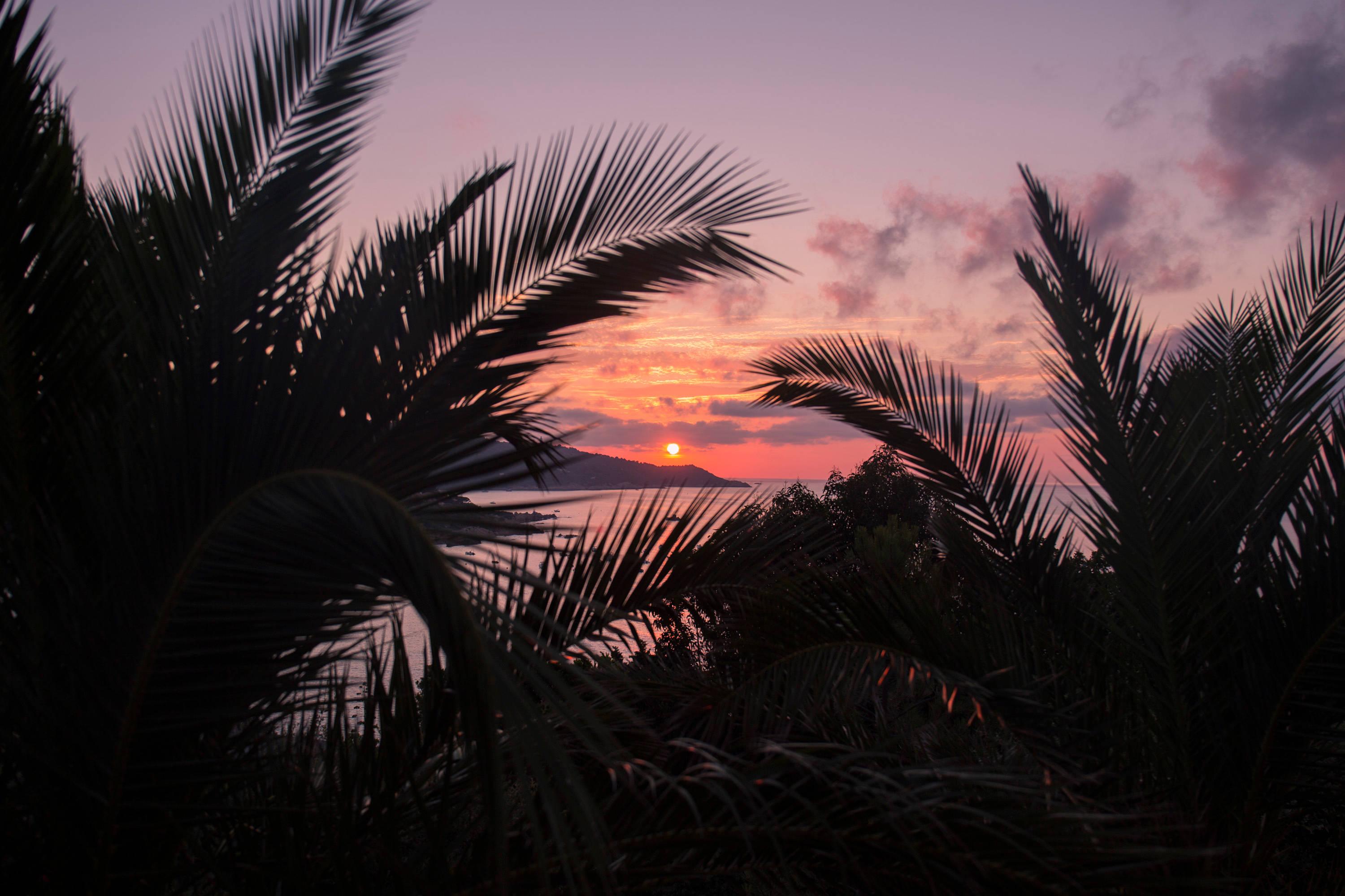 Enjoying the Sunset on a Secluded and Aesthetic Beach — 3000x2000 wallpaper