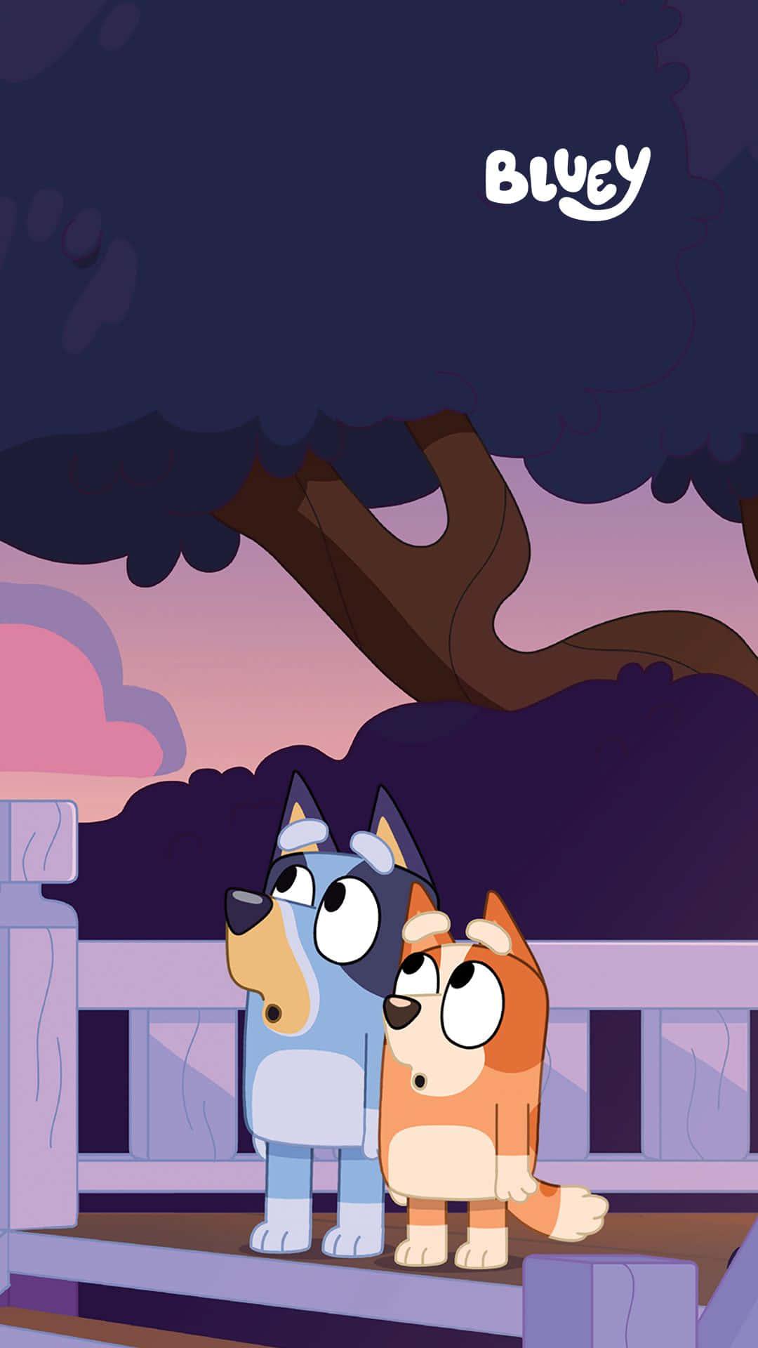 Enjoying the view with Bluey! — 1080x1920 wallpaper