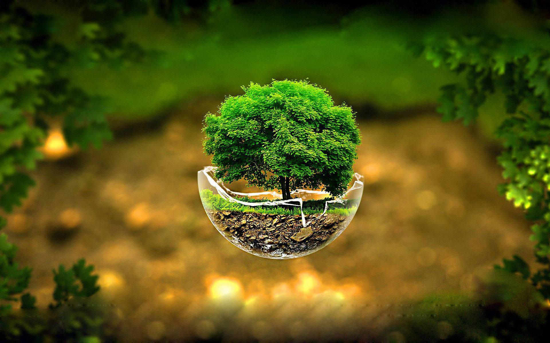 Enter a Magical 3D World — 1920x1200 wallpaper