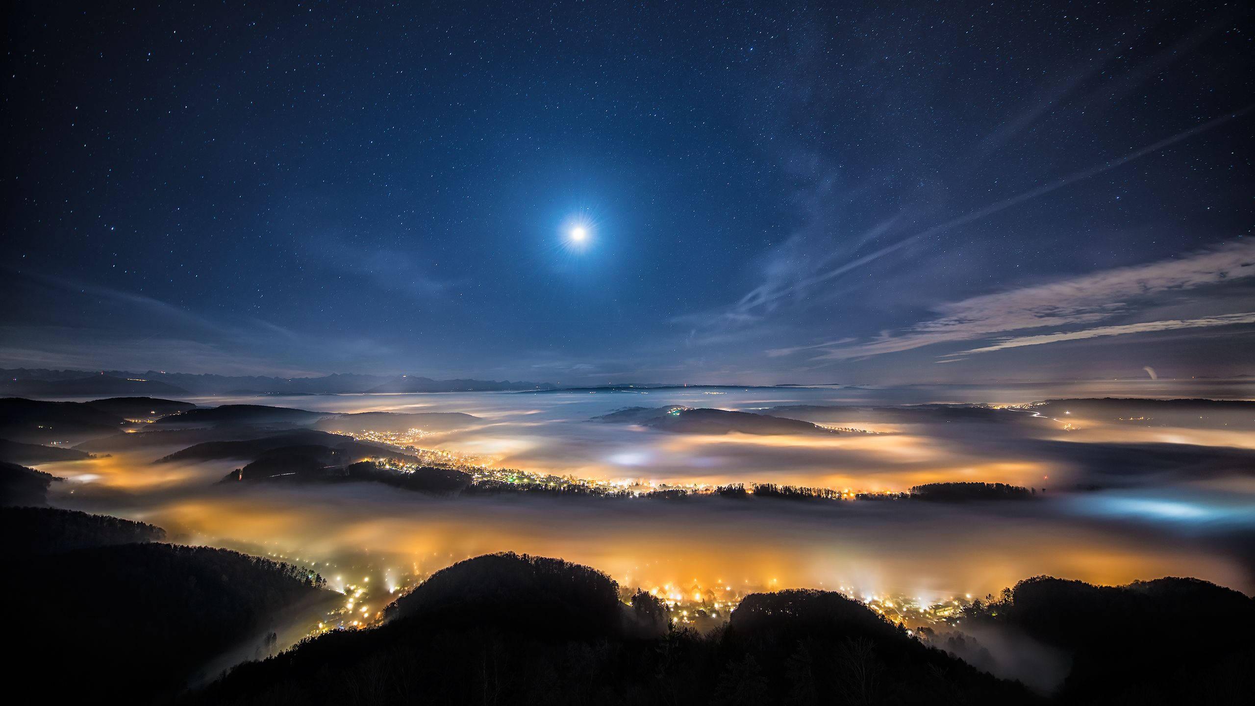 Enveloped in Moonlight — 2560x1440 wallpaper