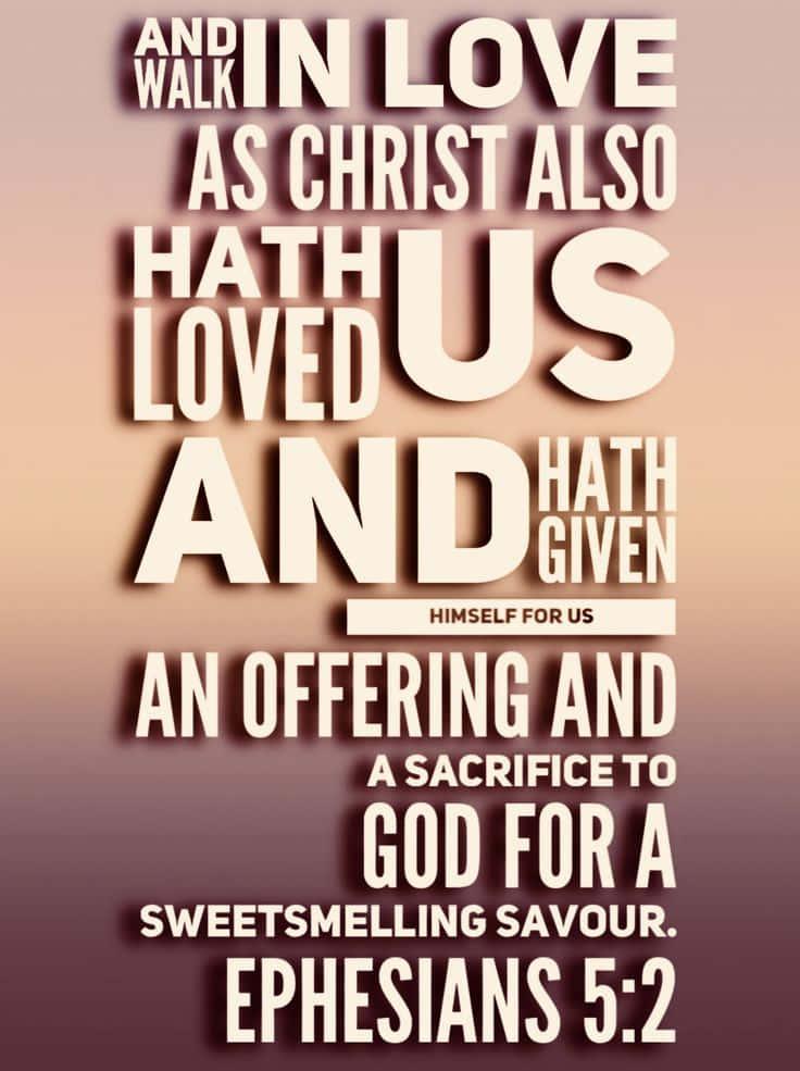 ephesians 5:25 - love is also given an offering and a sweet fragrance — 736x985 wallpaper