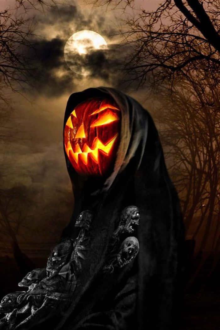 Evil Pumpkin Halloween Pictures — 700x1050 wallpaper