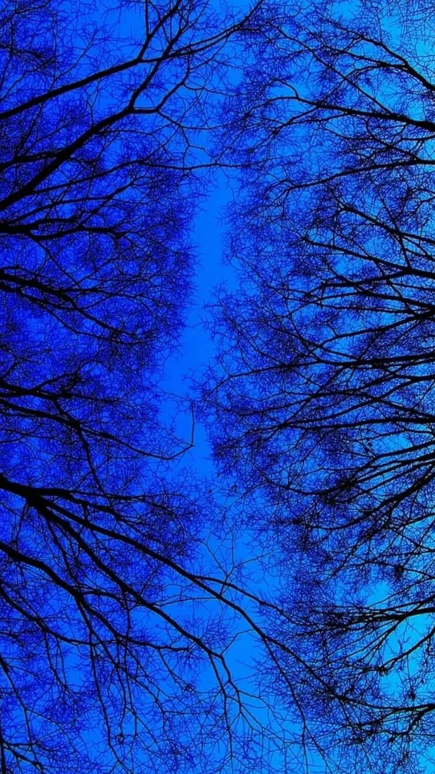 Experience serenity and contentment with the calming blue aesthetic. — 850x1512 wallpaper