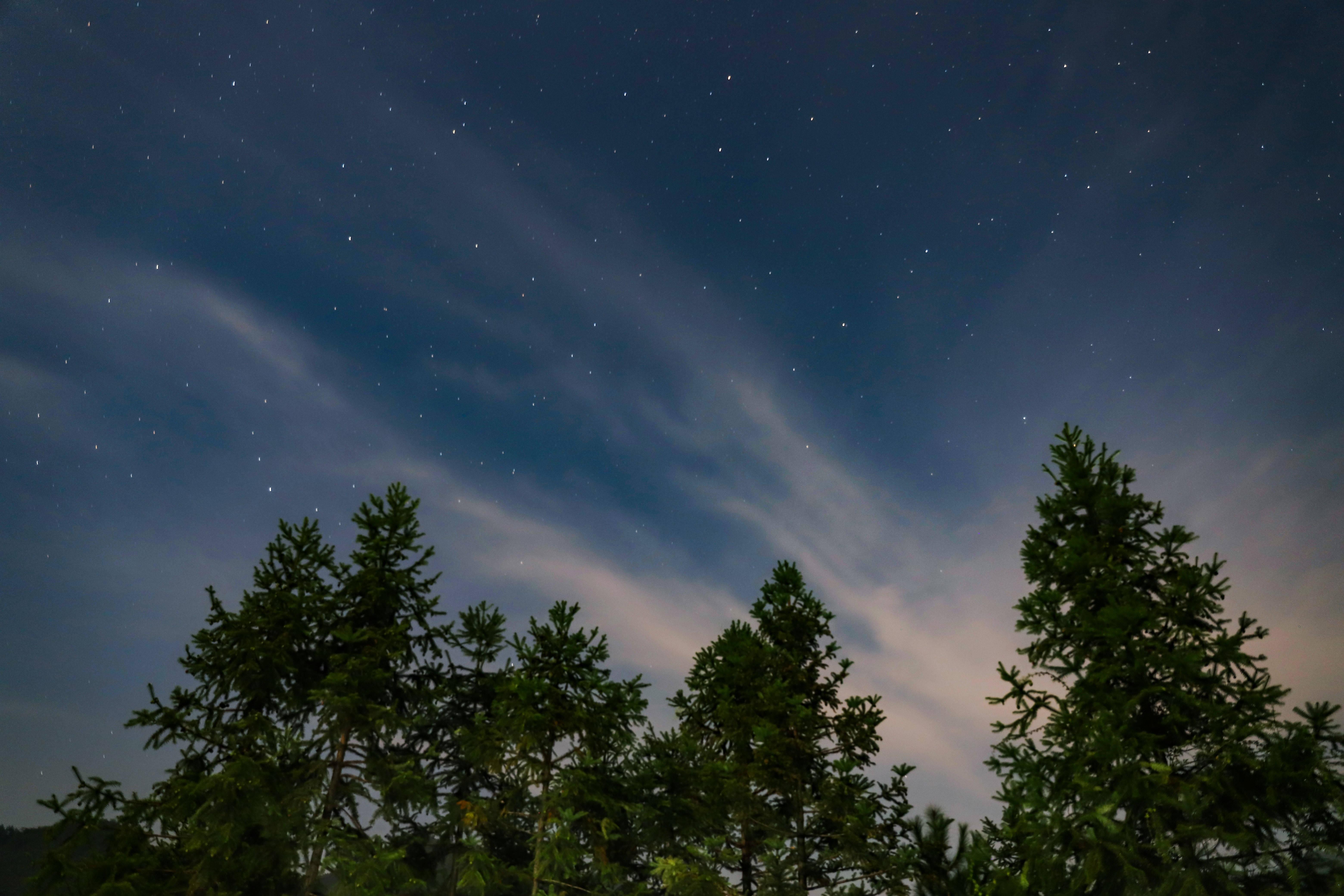 Experience the beauty of a star-filled night sky in nature — 6240x4160 wallpaper