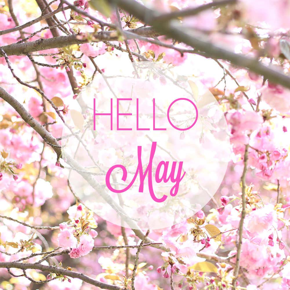 Experience the blooming of new wonders each May — 1000x1000 wallpaper
