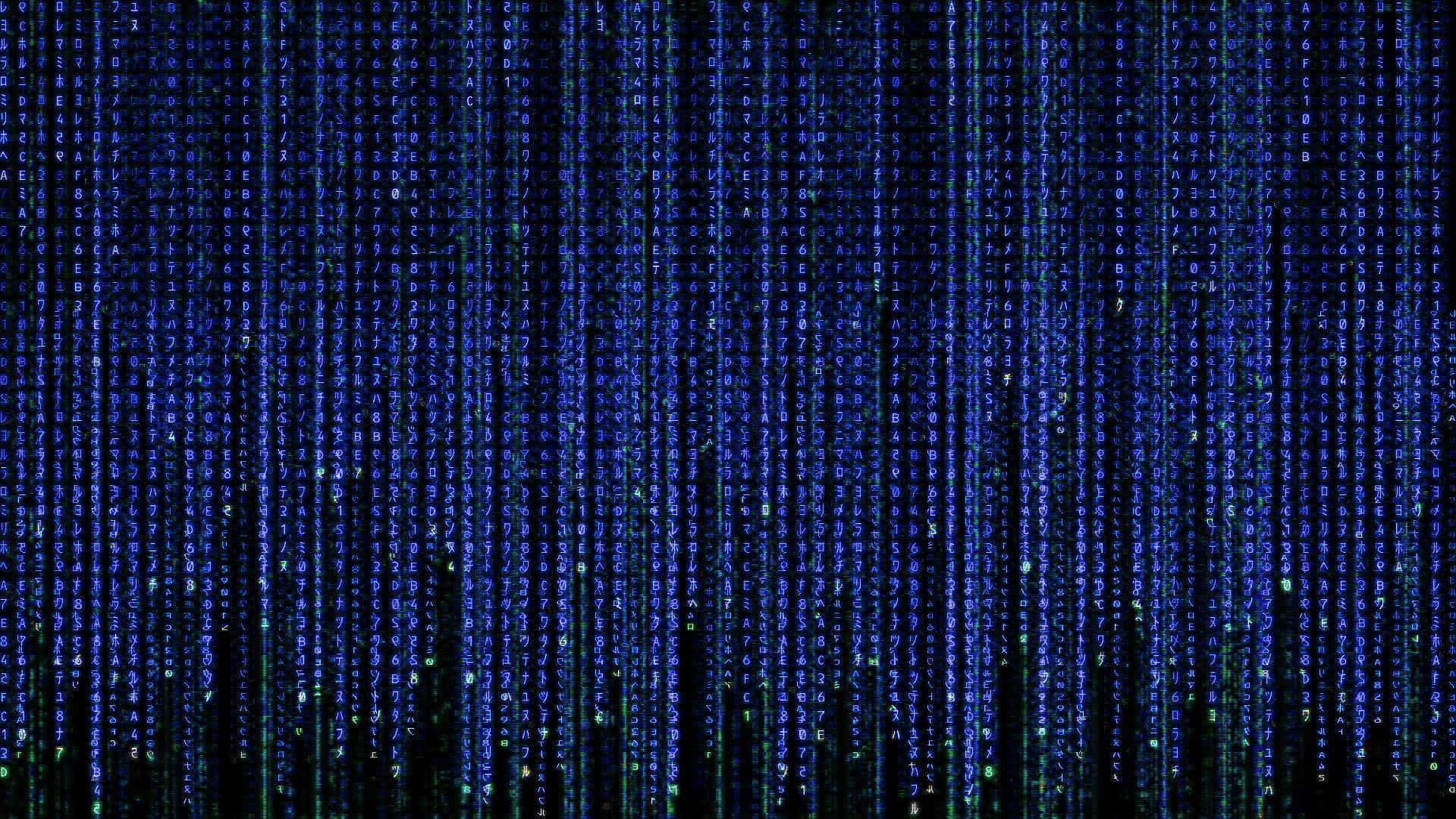 Experience the World of the Matrix — 1920x1080 wallpaper