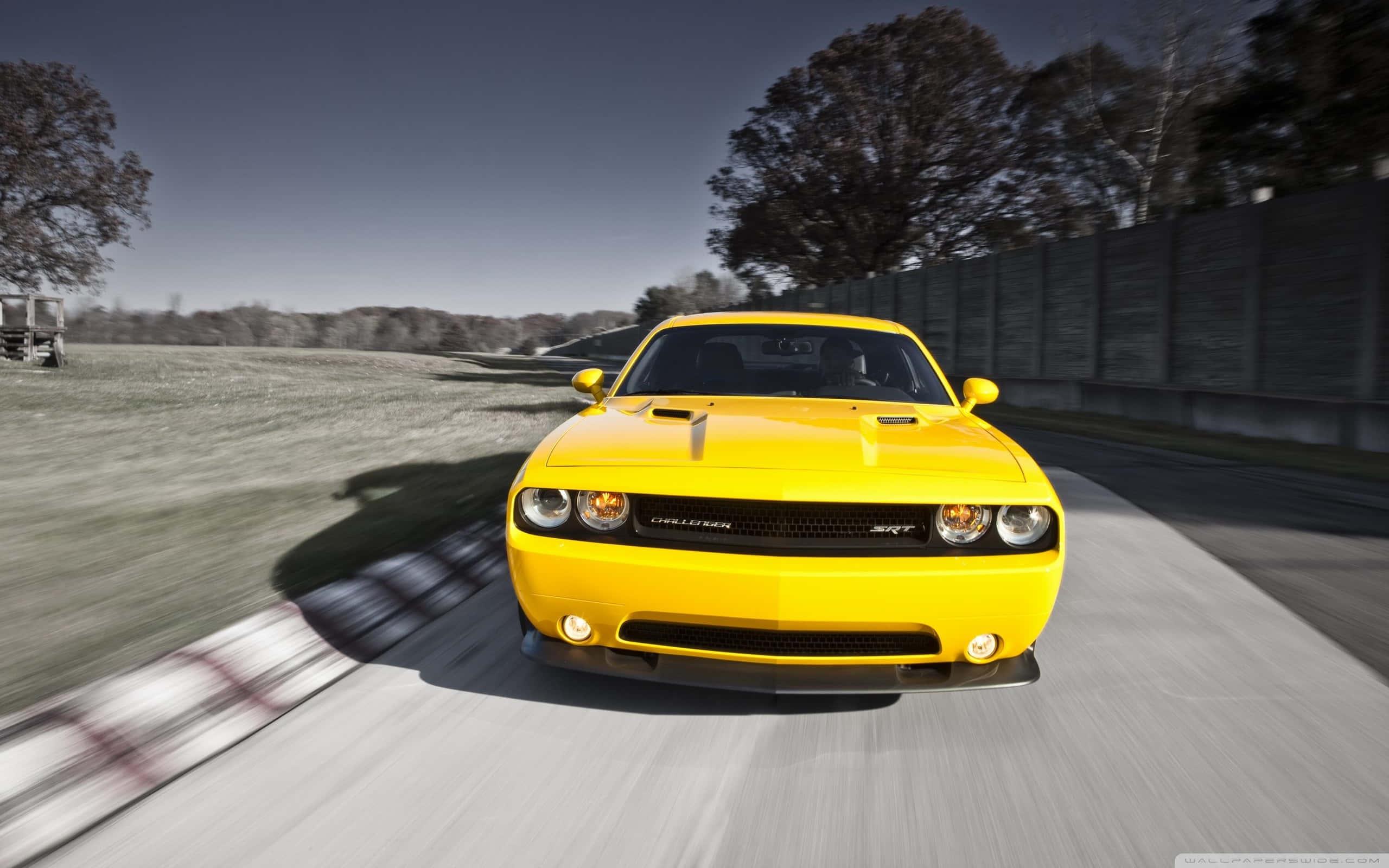 Experience true power with the Dodge Challenger 4k — 2560x1600 wallpaper