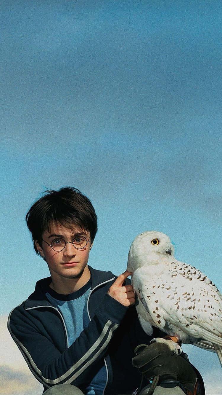 Explore the Wizarding World of Harry Potter — 750x1332 wallpaper