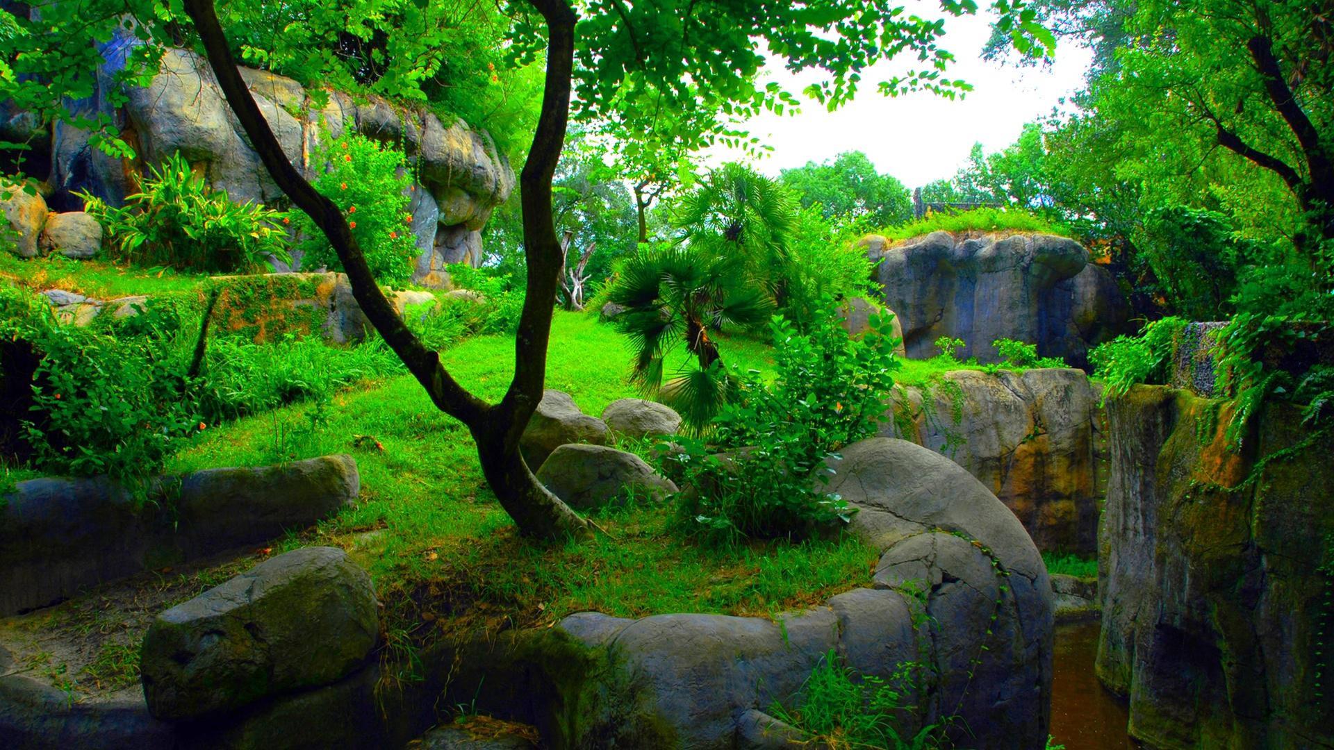 Explore This Lush Green Garden Landscape — 1920x1080 wallpaper