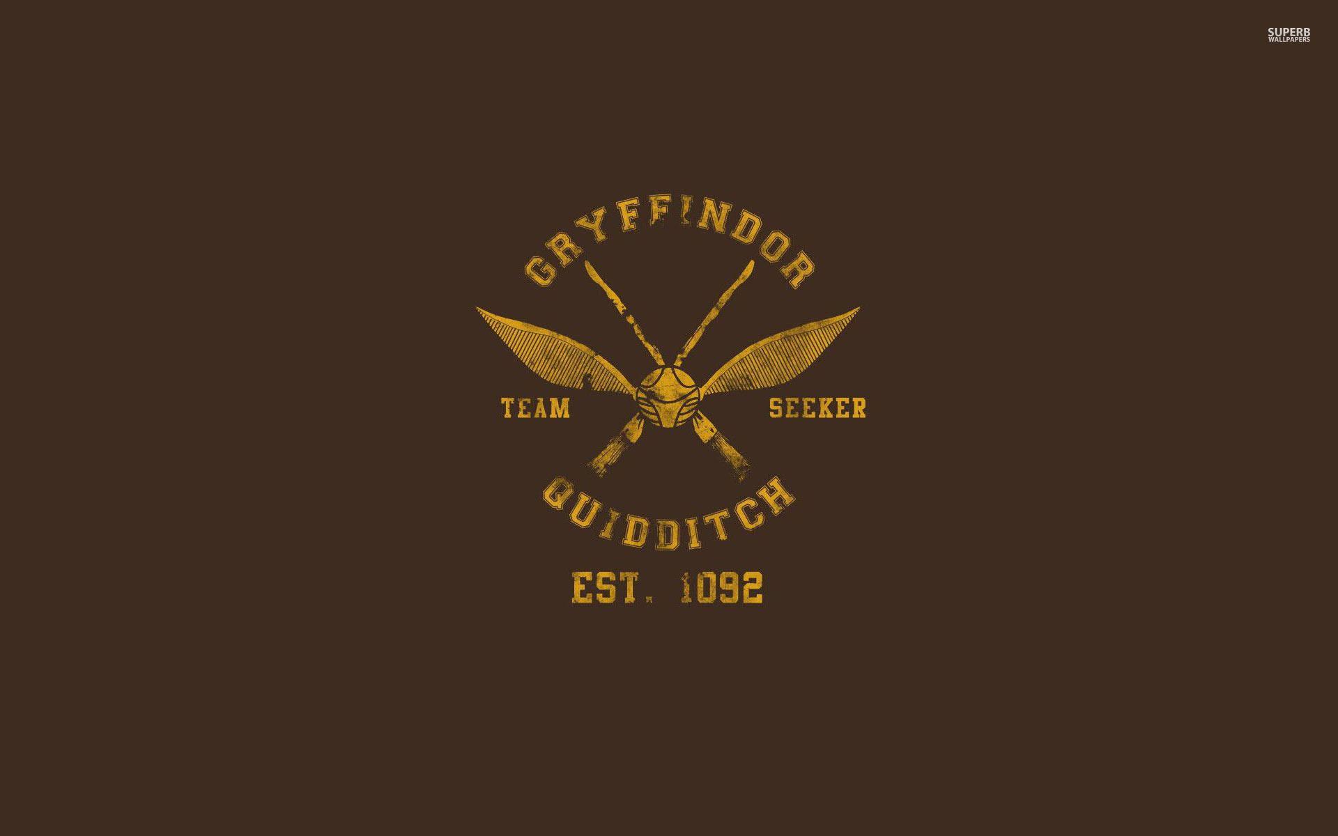 Exploring Hogwarts Grounds Through Quidditch — 1920x1200 wallpaper