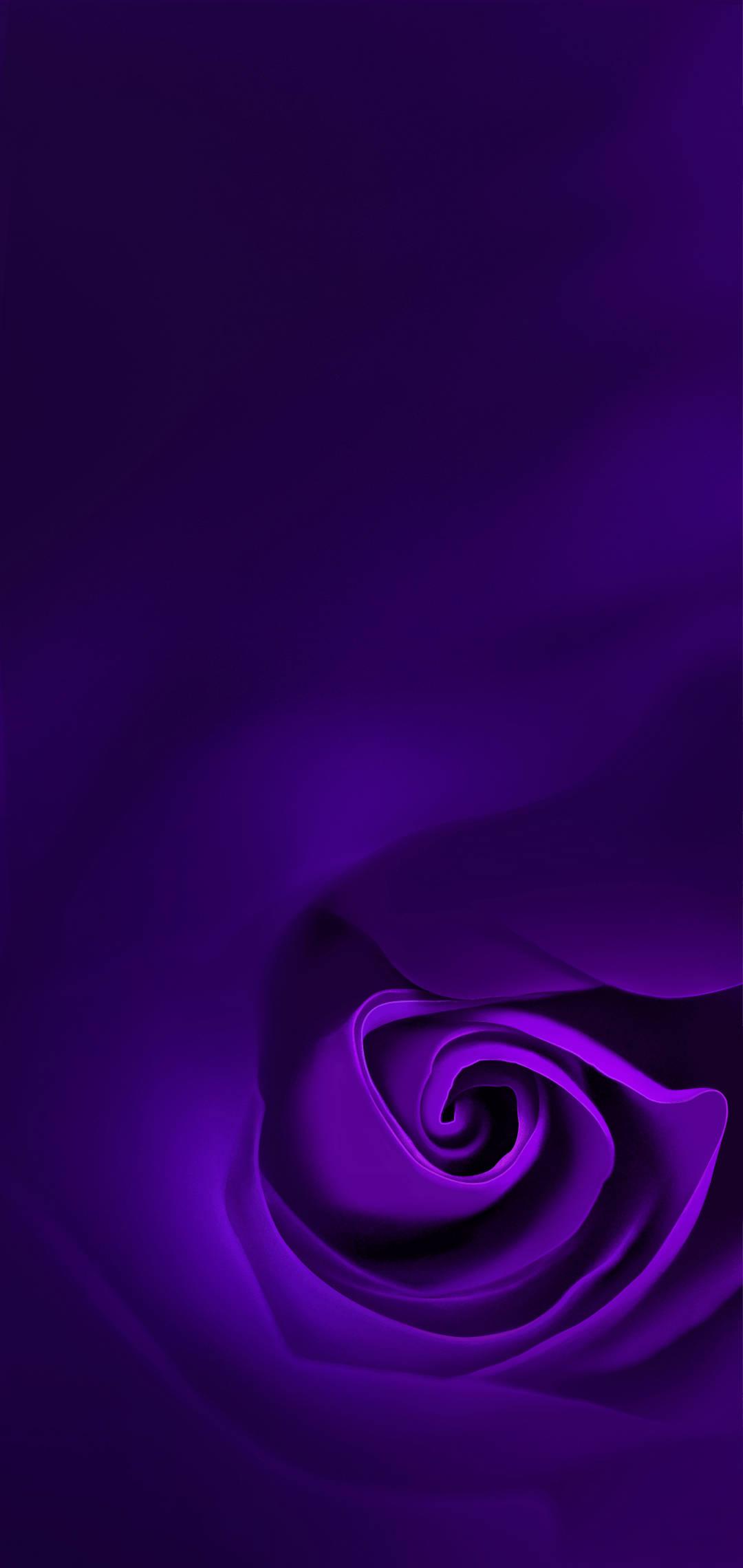 Exquisite Abstract Violet Rose Wallpaper for Oppo A5s — 1080x2280 wallpaper