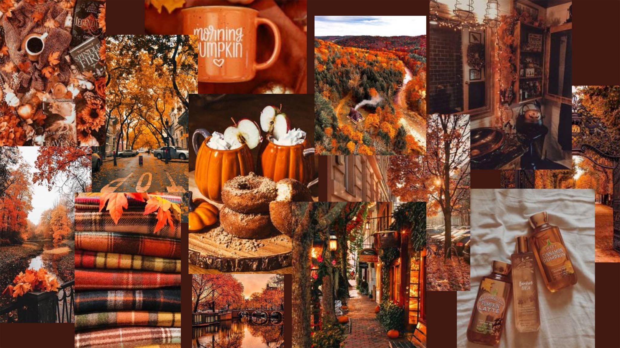 Fall Aesthetic Collage — 2048x1152 wallpaper