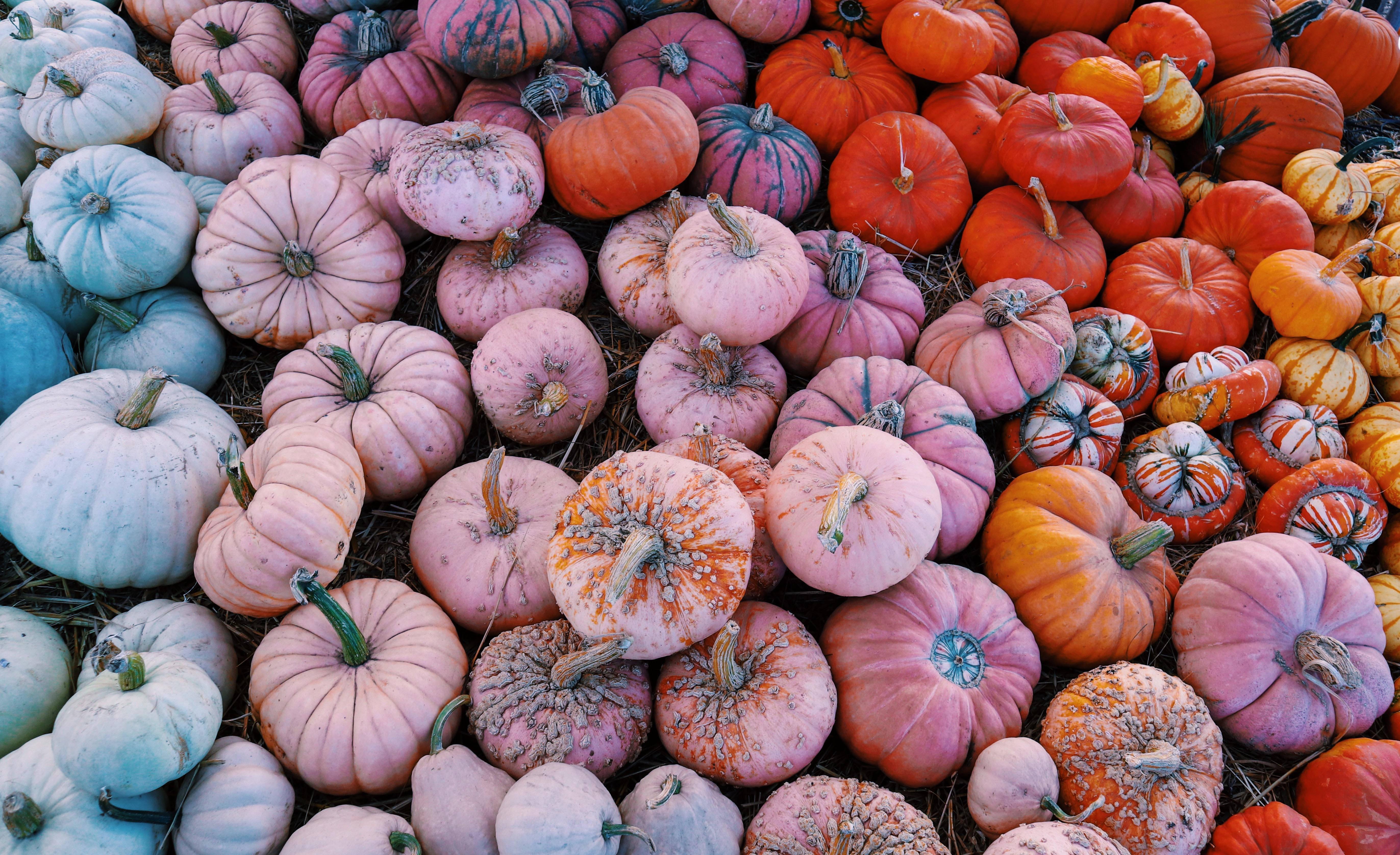 Fall Aesthetic Pumpkins — 5488x3353 wallpaper