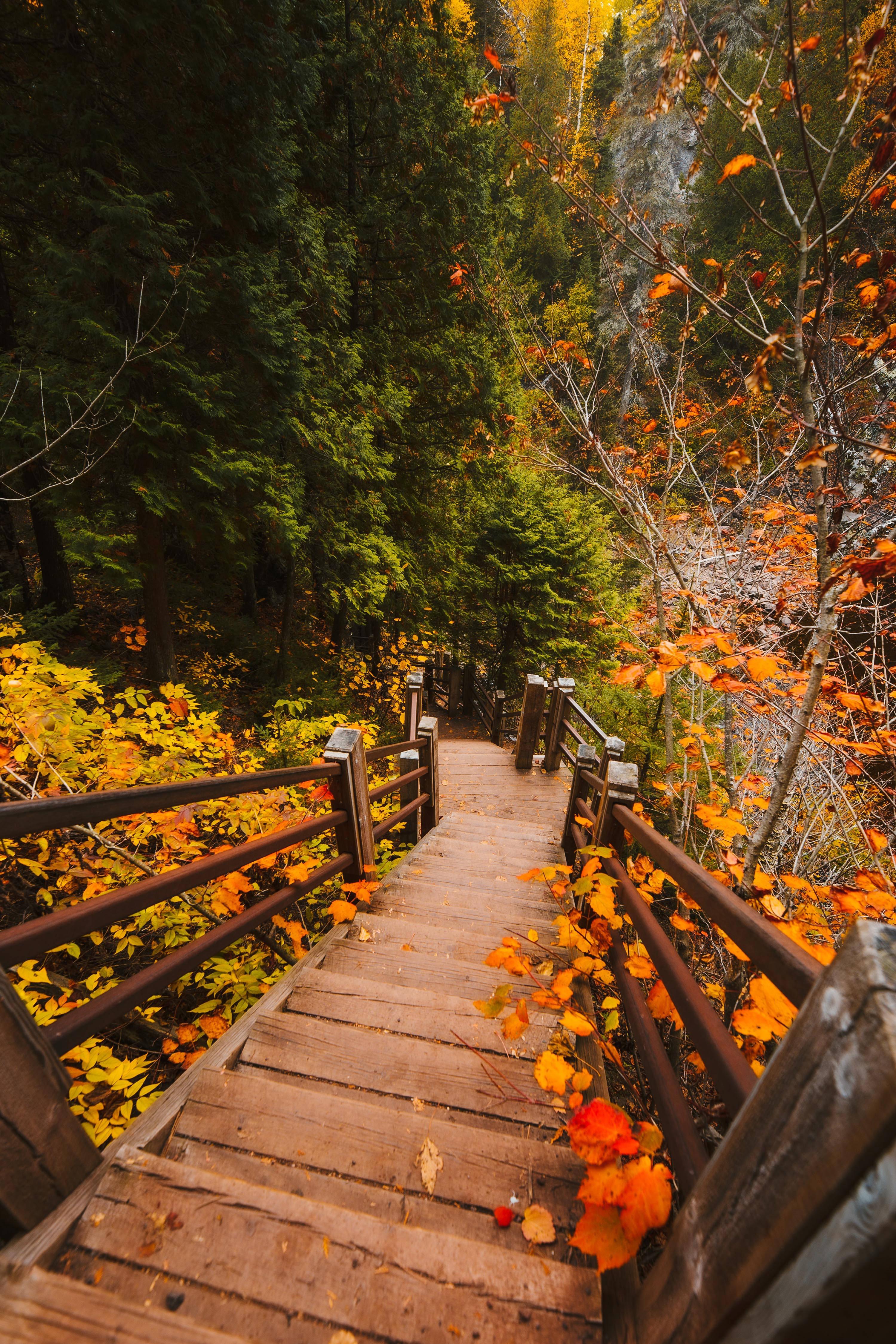 Fall Aesthetic Stairway — 3000x4500 wallpaper