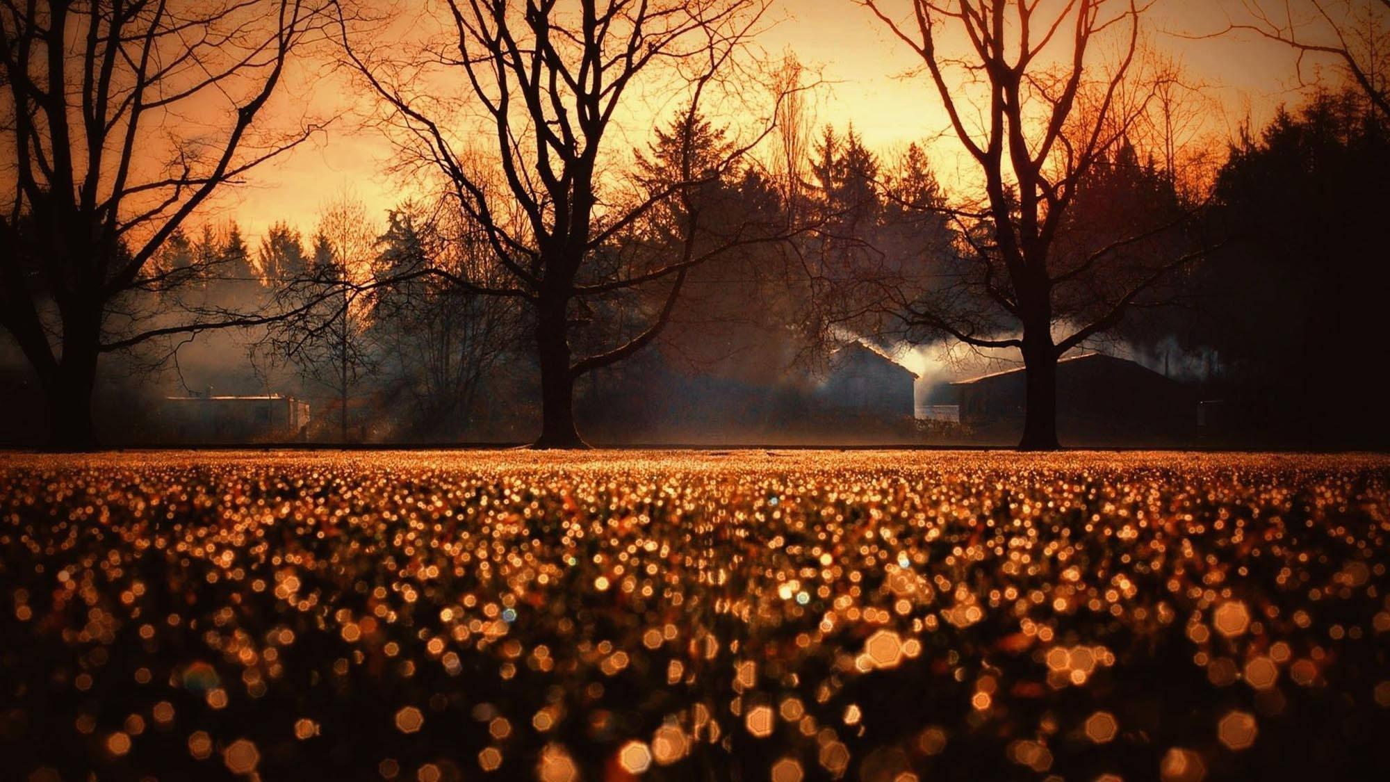 Fall Aesthetic Sunrise — 2000x1125 wallpaper