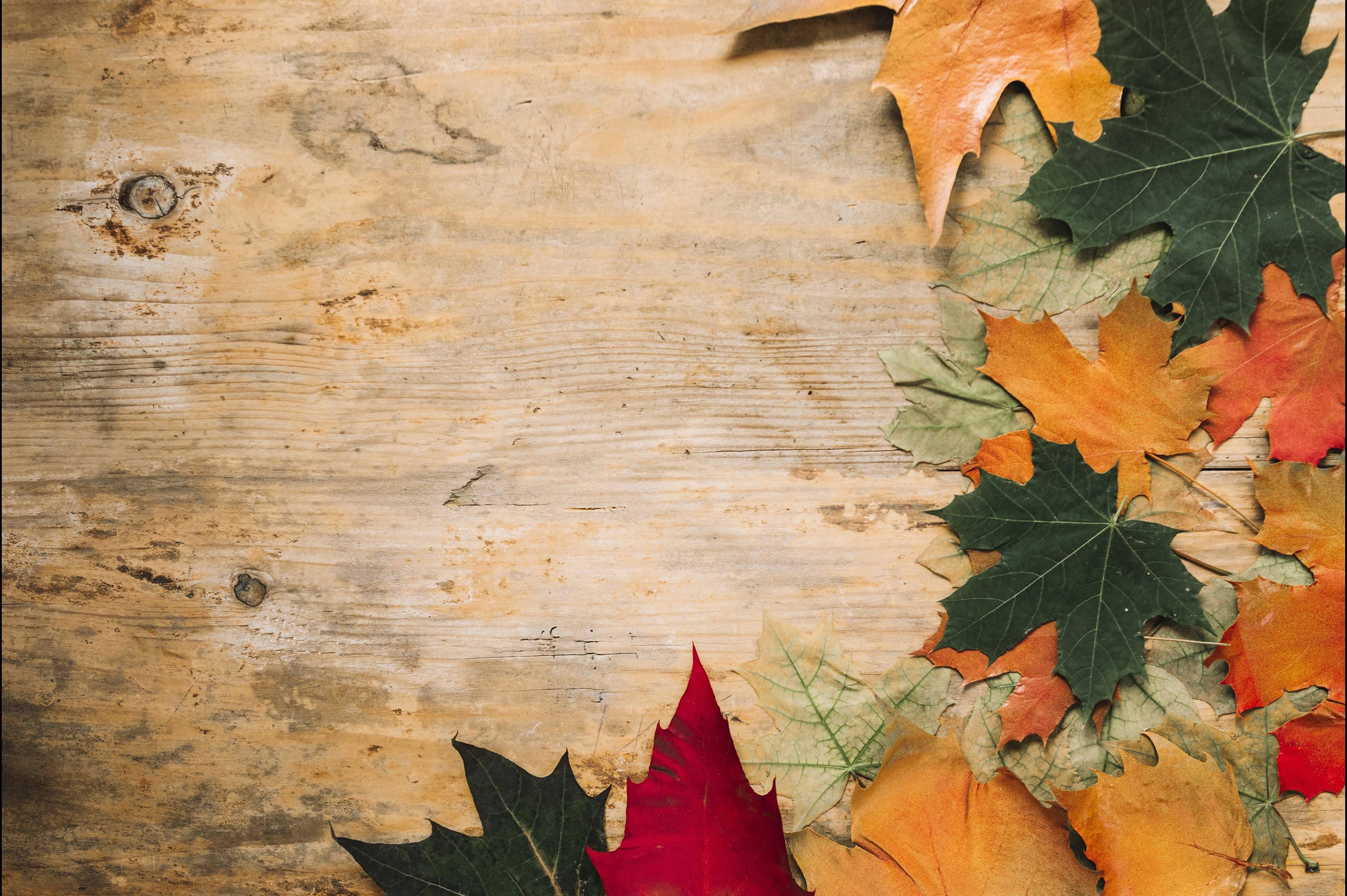 Fall Aesthetic Wood — 3000x1995 wallpaper