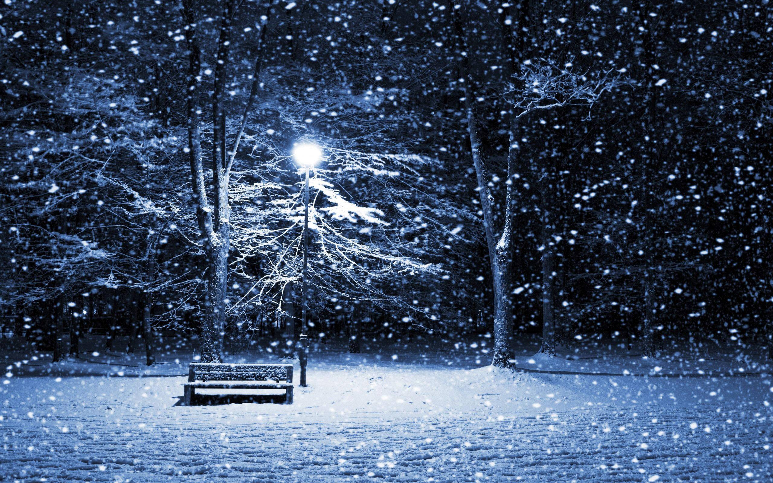 Falling Snow Winter Night — 2560x1600 wallpaper