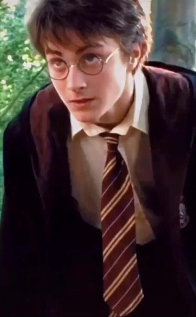 Fans of the Harry Potter series can only dream of discovering the many magical wonders at Hogwarts School of Witchcraft and Wizardry. — 750x1211 wallpaper