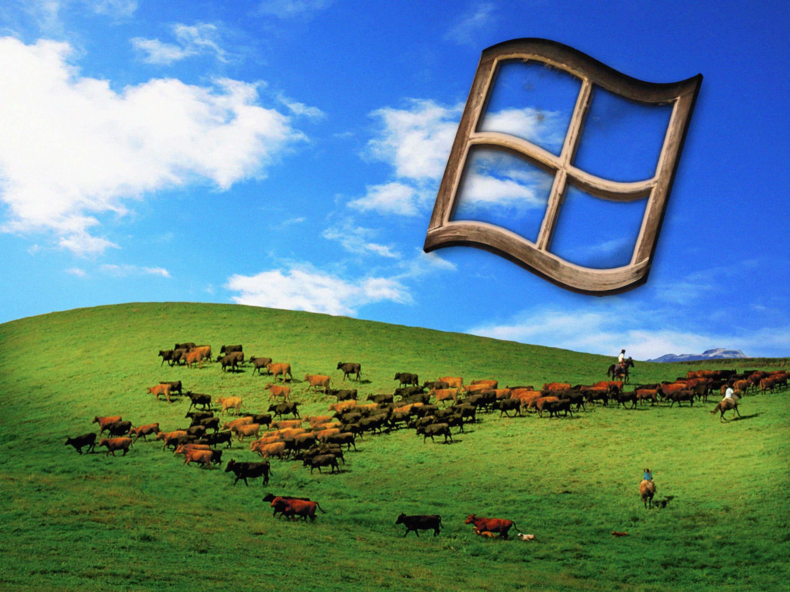 Feel the nostalgia of the classic Windows XP desktop — 2560x1919 wallpaper
