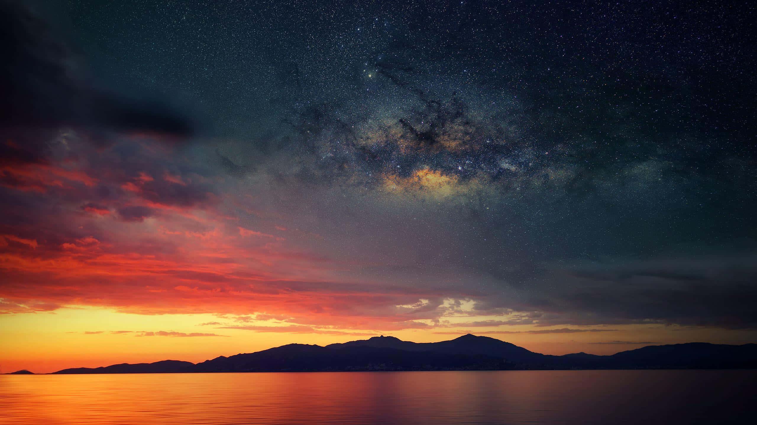 Feel the Peace and Beauty of Nature — 2560x1440 wallpaper