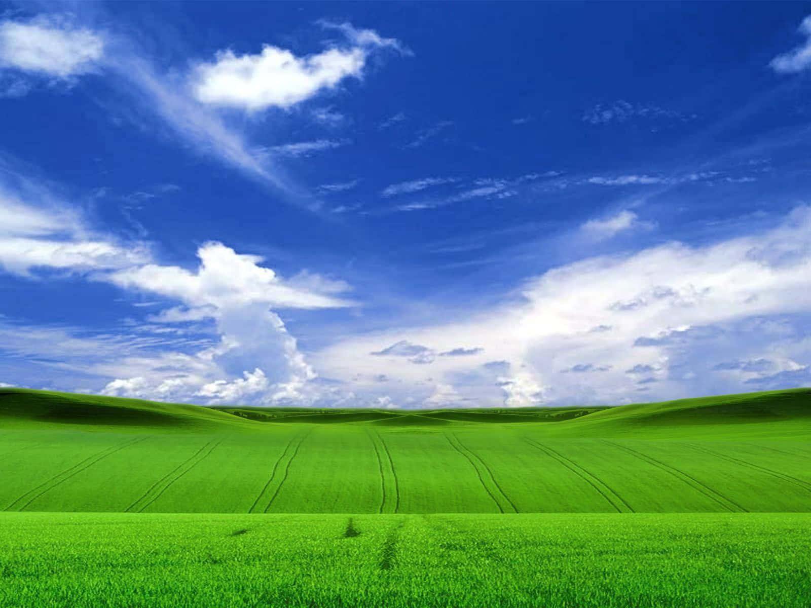 Feel the power of Windows XP — 1600x1200 wallpaper