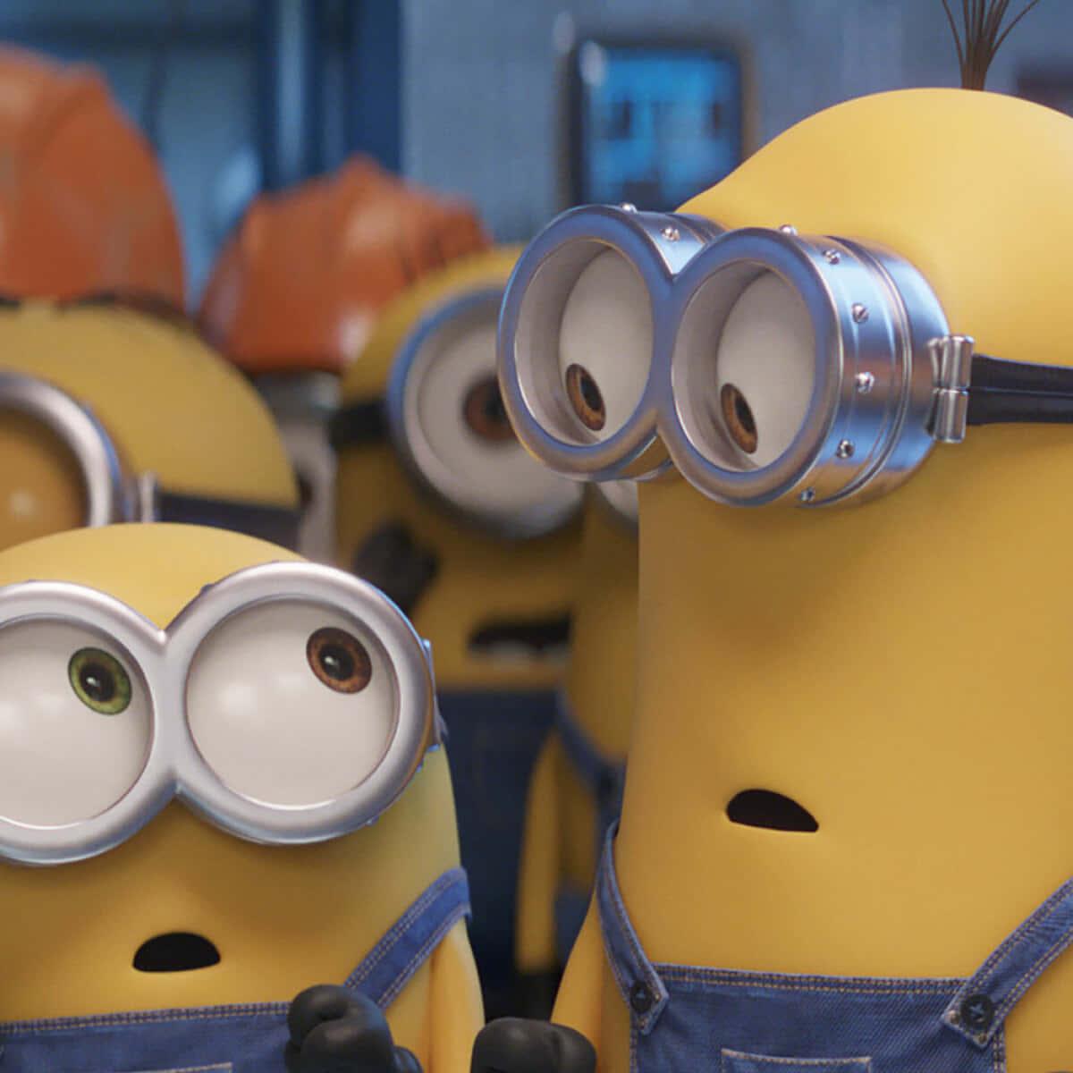 Fewer things are cuter than Minions, but they’re much more than just adorable! — 1200x1200 wallpaper