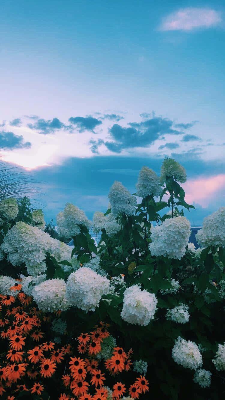 Find solace in the beauty of blue — 750x1334 wallpaper