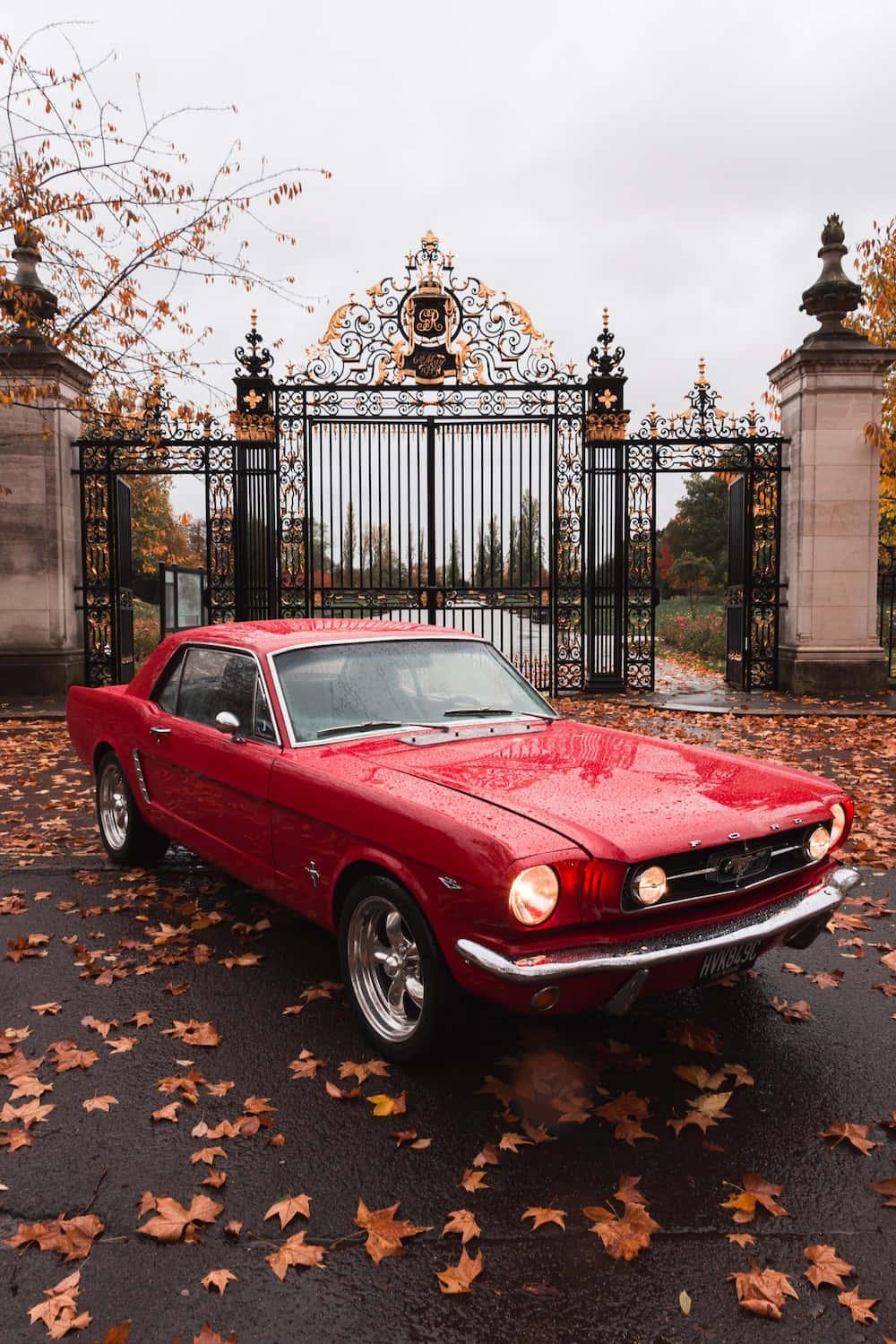 First Gen Red Ford Mustang Car Picture — 1000x1500 wallpaper