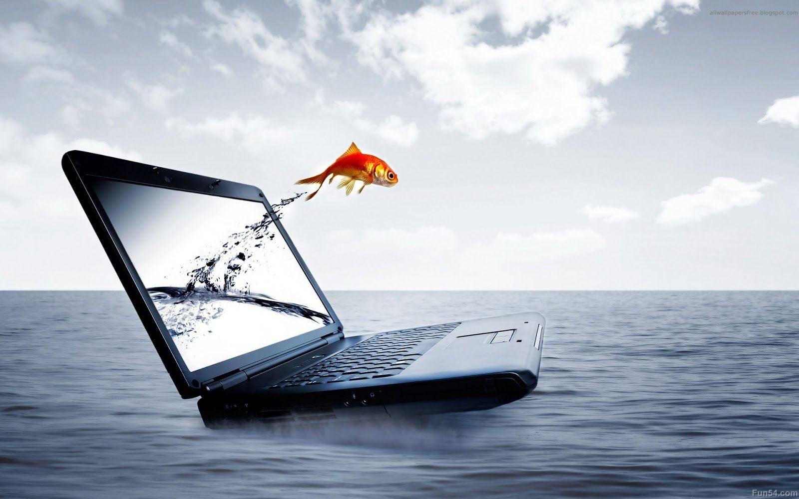 Fish Out Of Laptop — 1600x1000 wallpaper