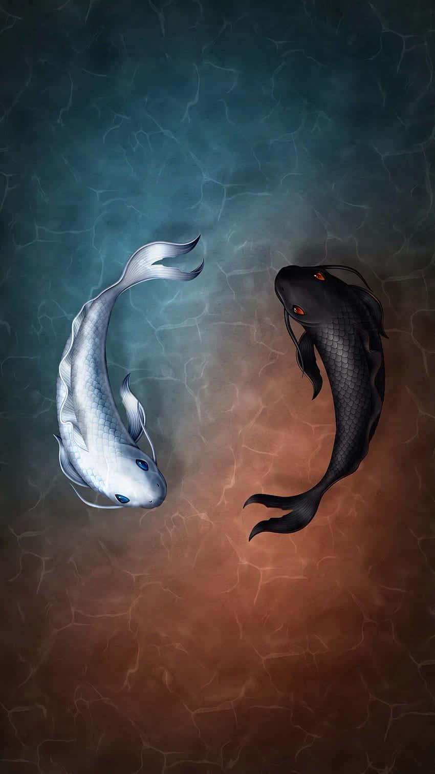 Fishing pictures — 850x1511 wallpaper