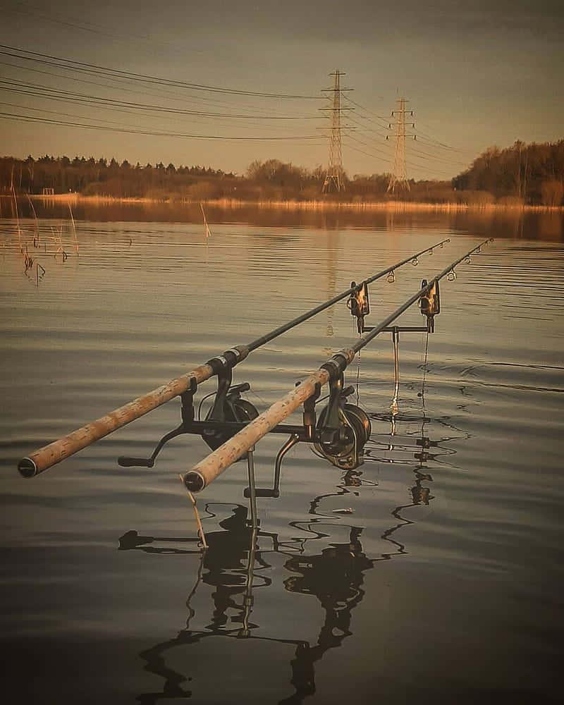 Fishing pictures — 800x1000 wallpaper