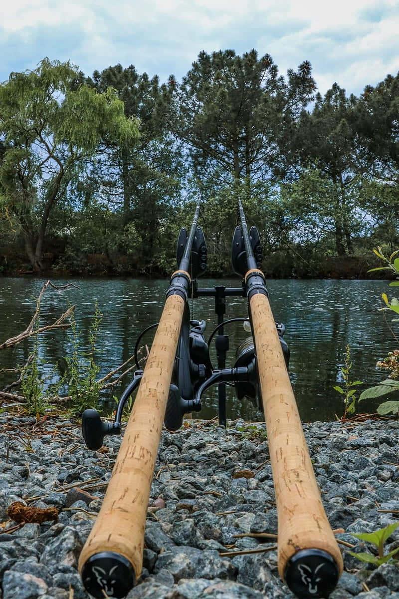 Fishing pictures — 800x1200 wallpaper