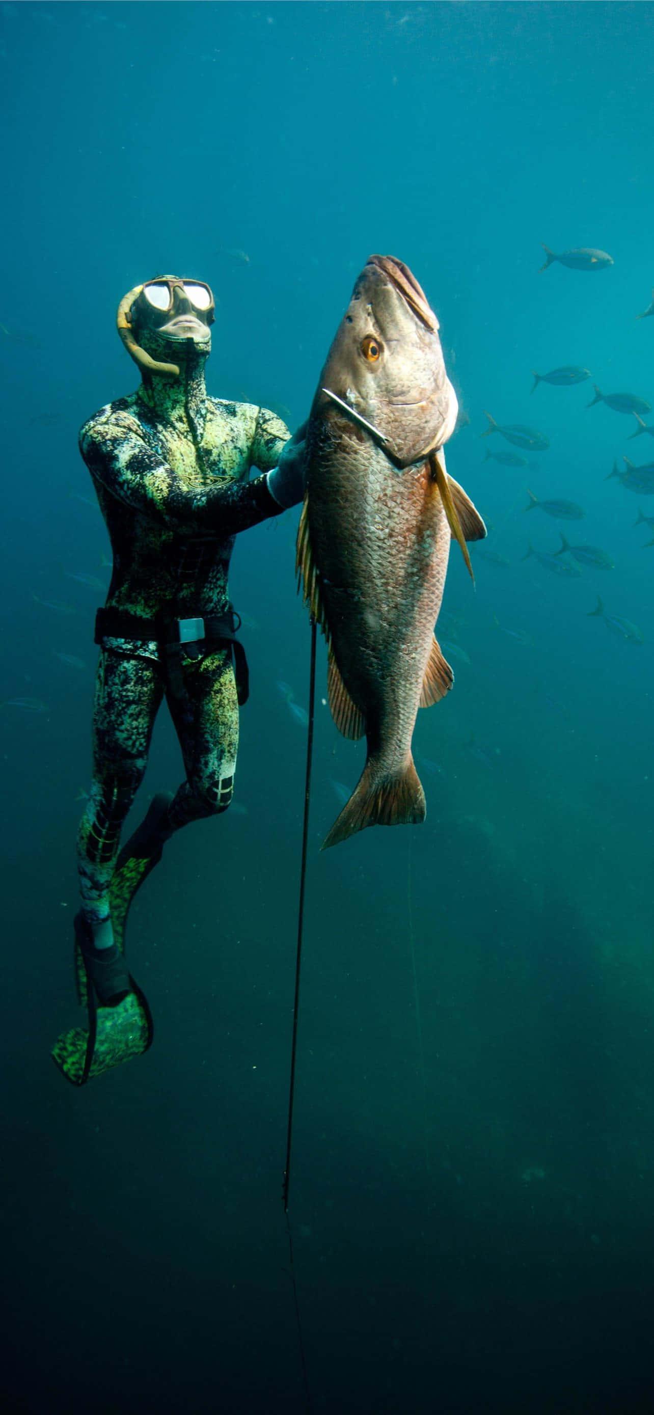 Fishing pictures — 1284x2778 wallpaper
