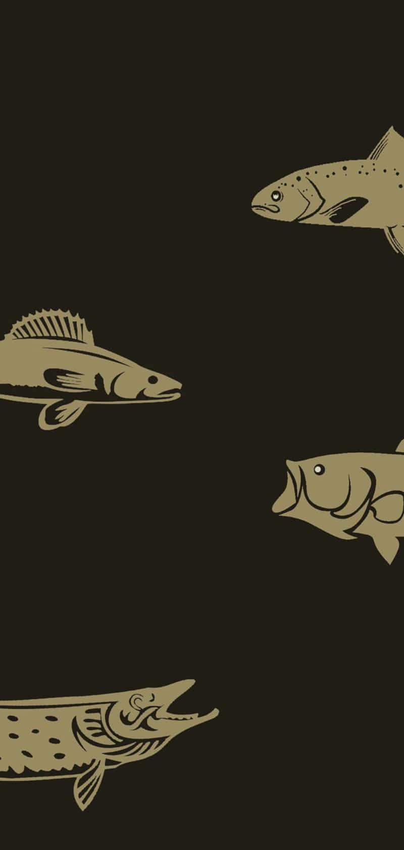 Fishing pictures — 800x1682 wallpaper