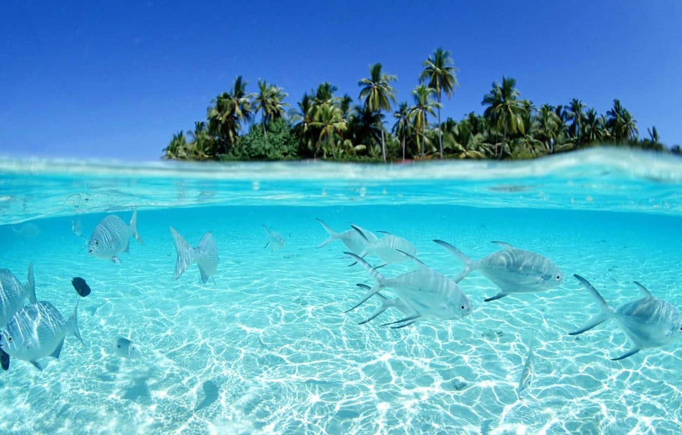 Fishing pictures — 1332x850 wallpaper