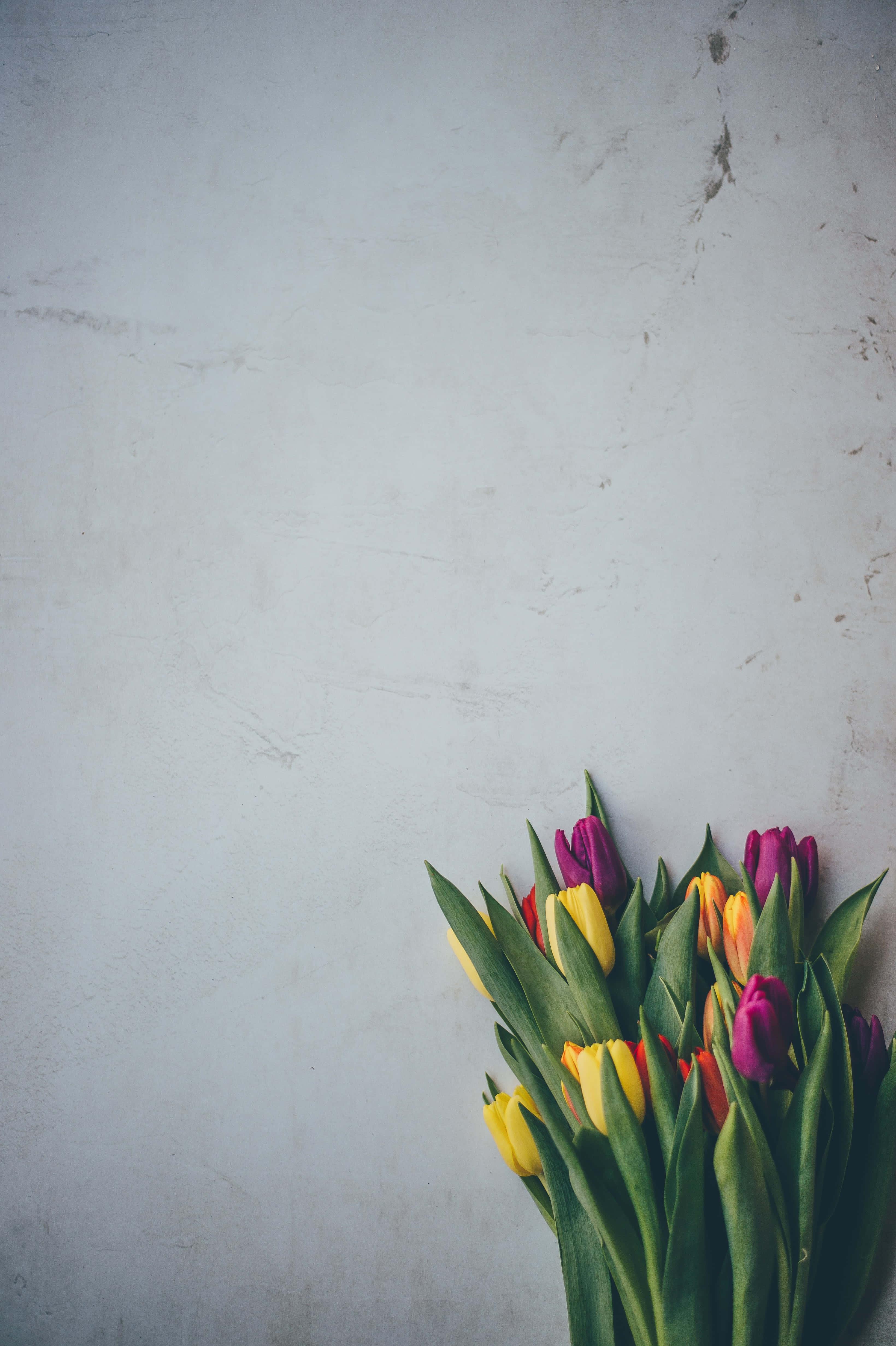Flower Background — 3280x4928 wallpaper