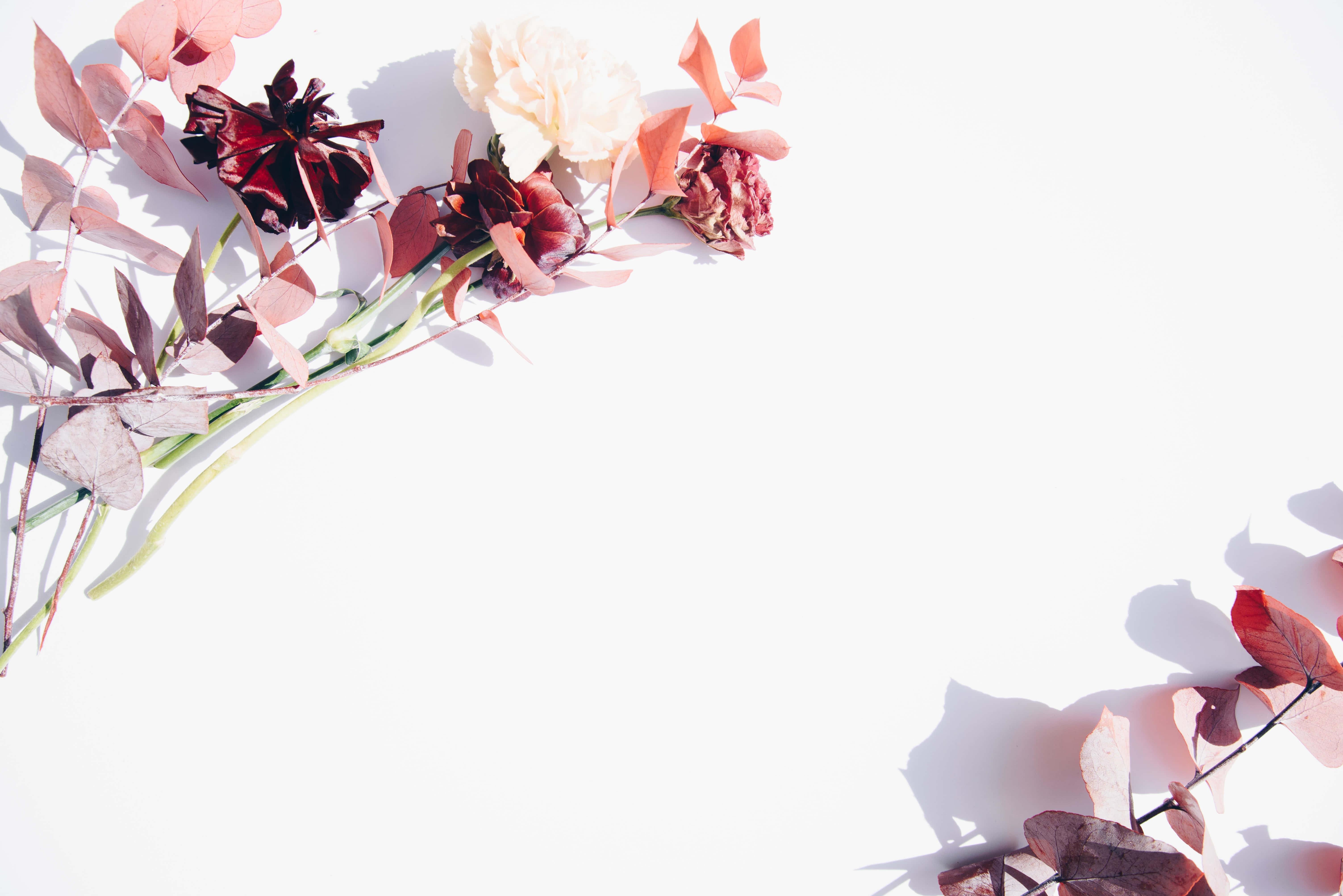 Flower Background — 6016x4016 wallpaper