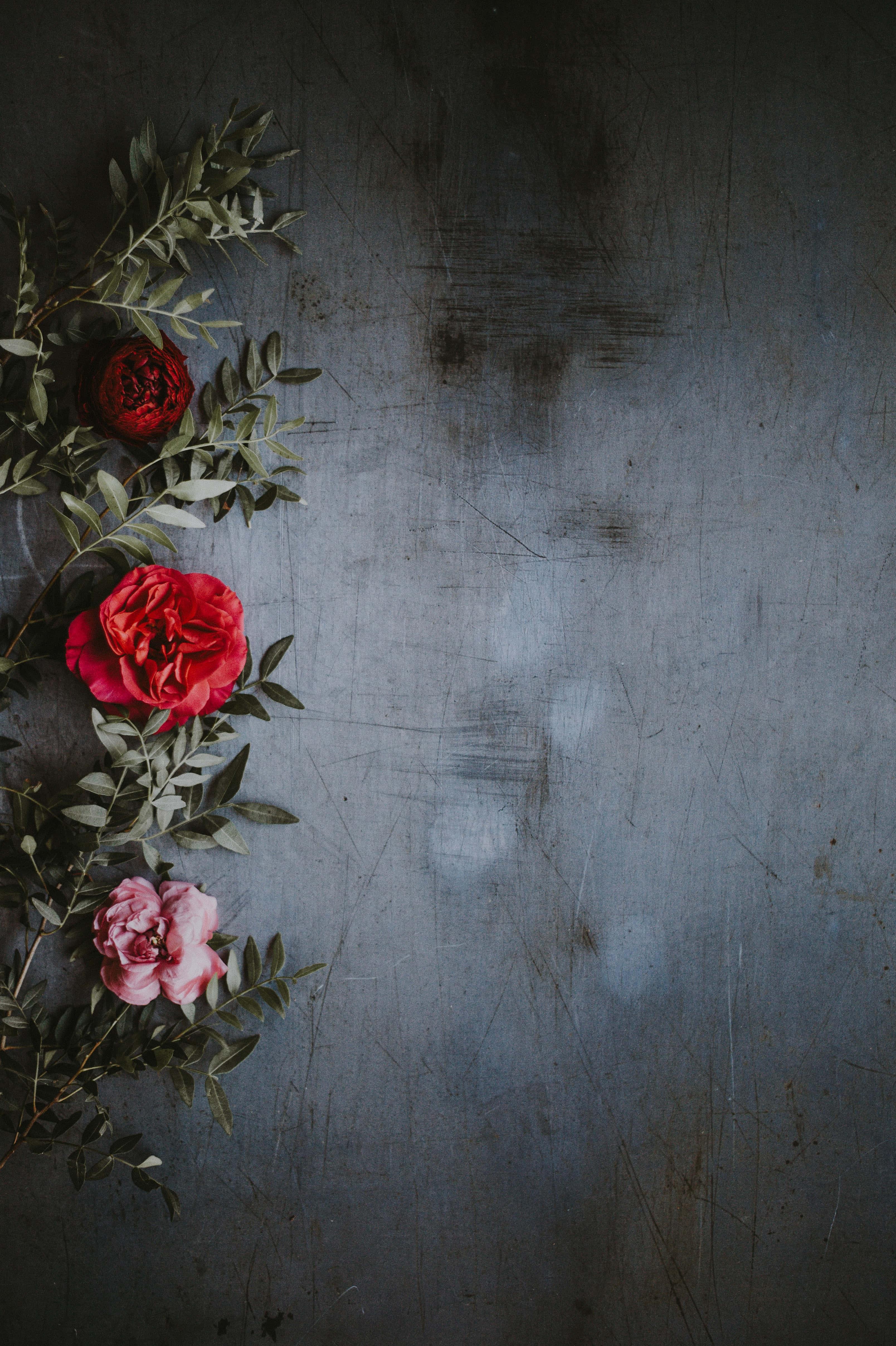 Flower Background — 3216x4832 wallpaper