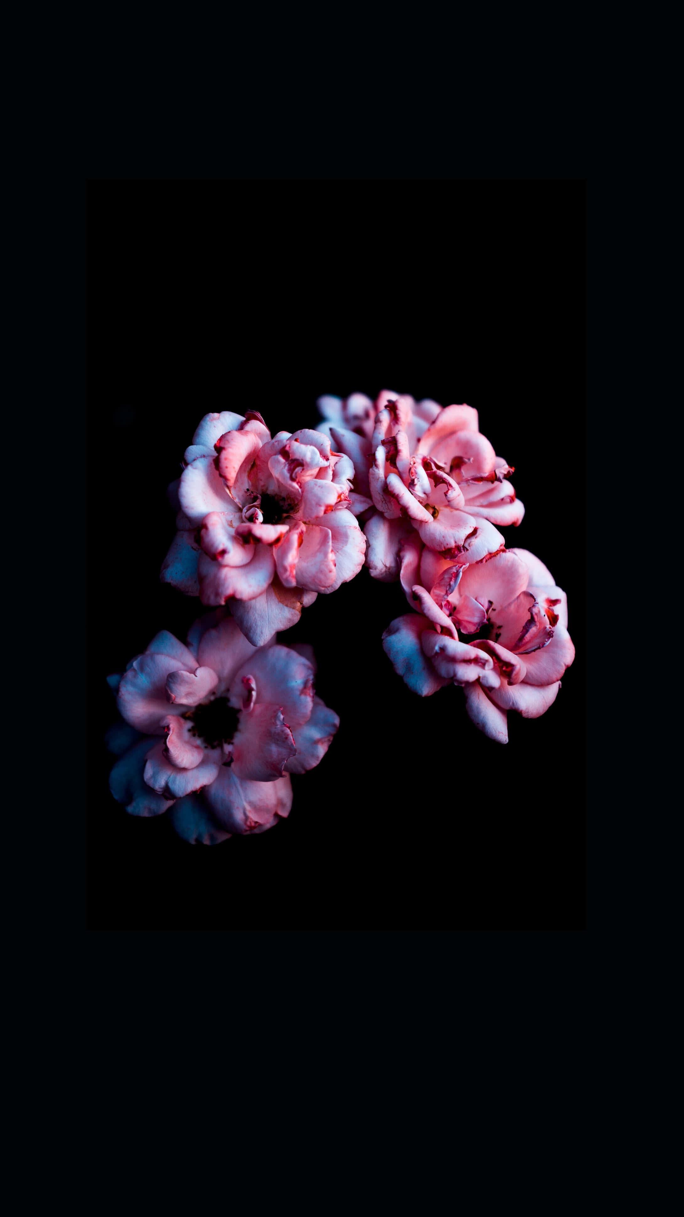 Flower Background — 2180x3876 wallpaper