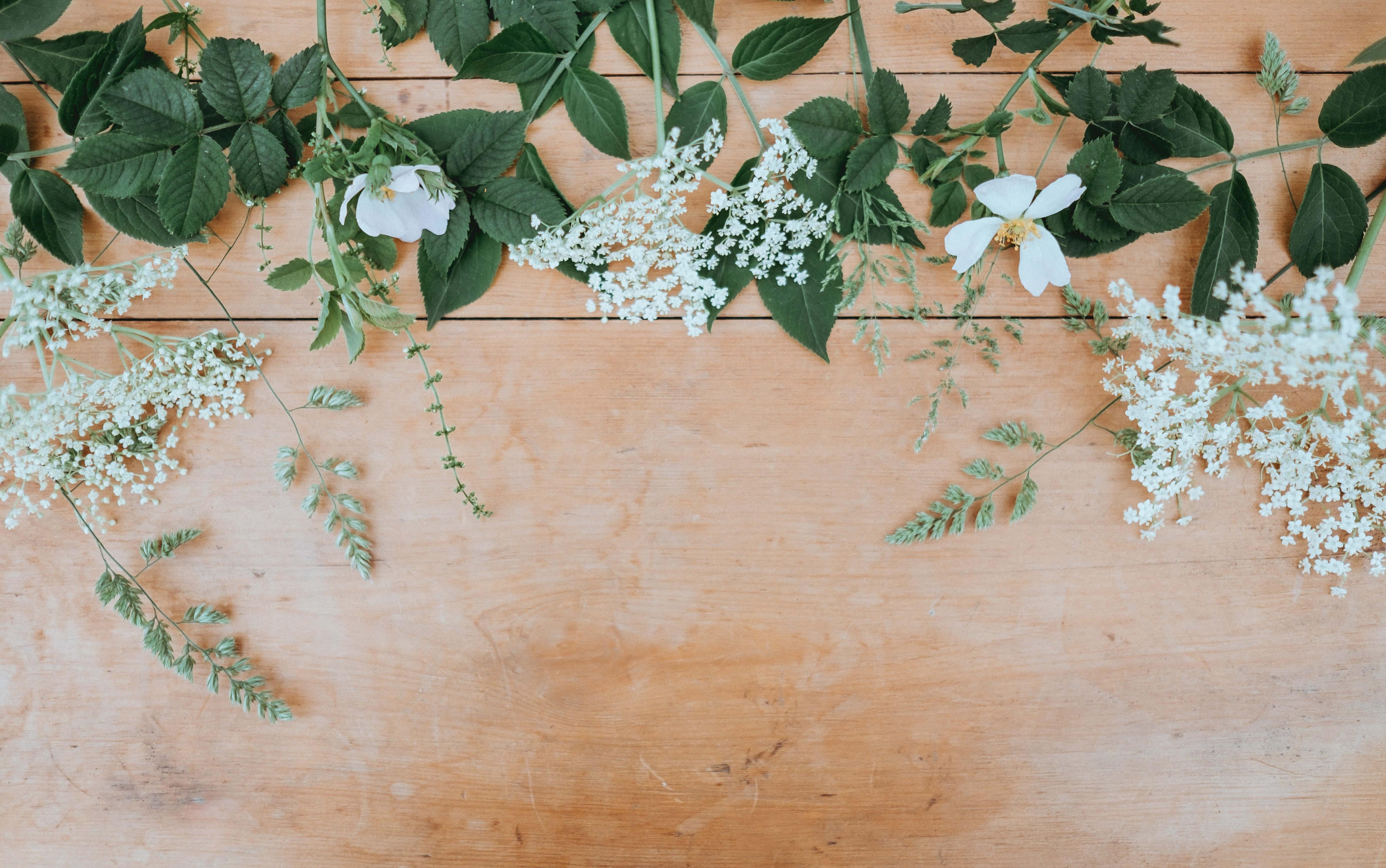 Flower Background — 4715x2953 wallpaper
