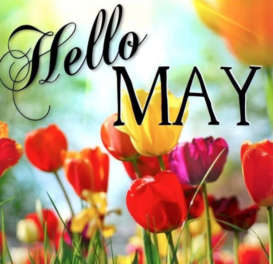 Flowers in Bloom in May — 928x900 wallpaper