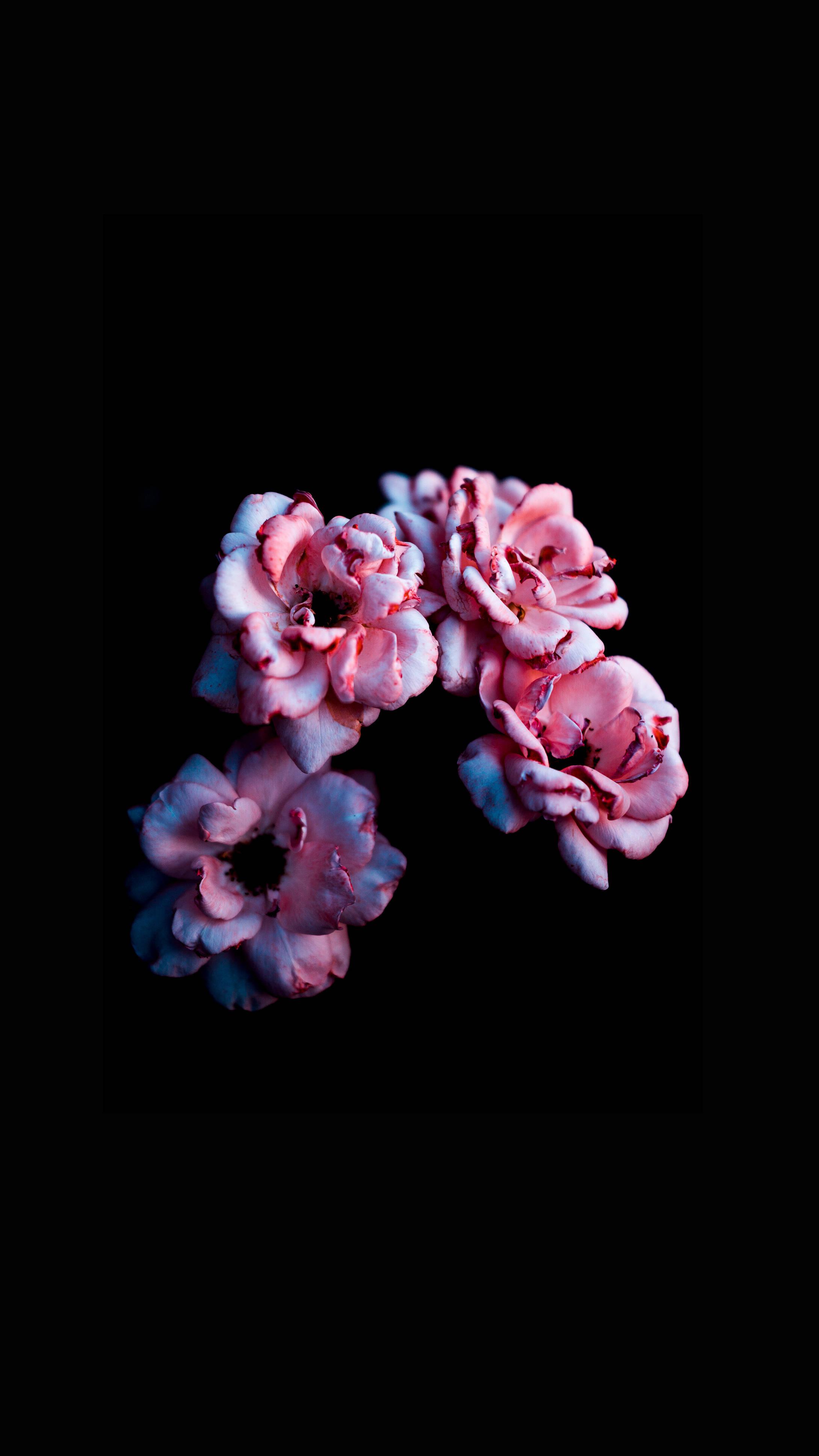 Flowers On Black Background — 2180x3876 wallpaper