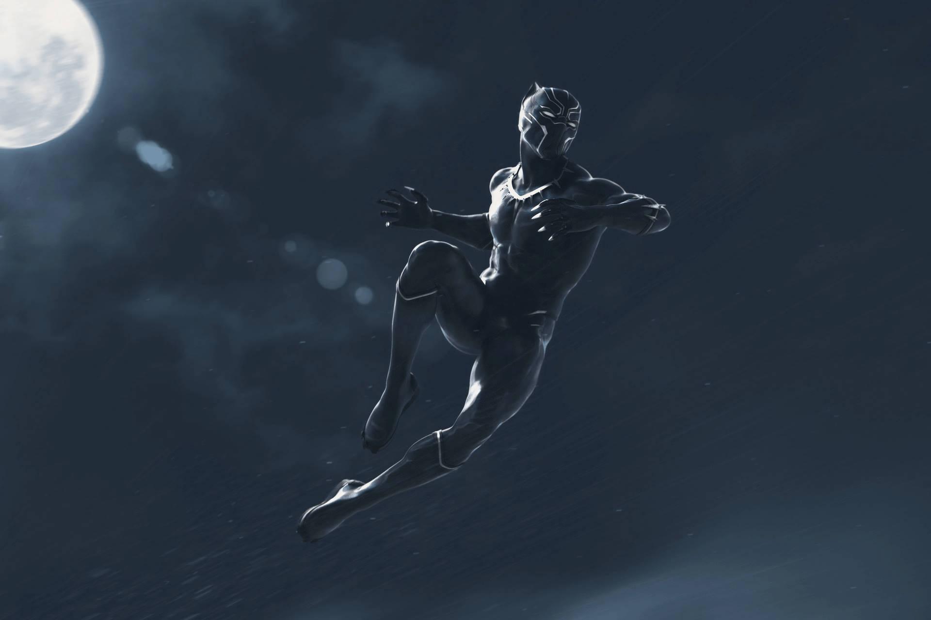 Flying high like a Black Panther — 1920x1280 wallpaper