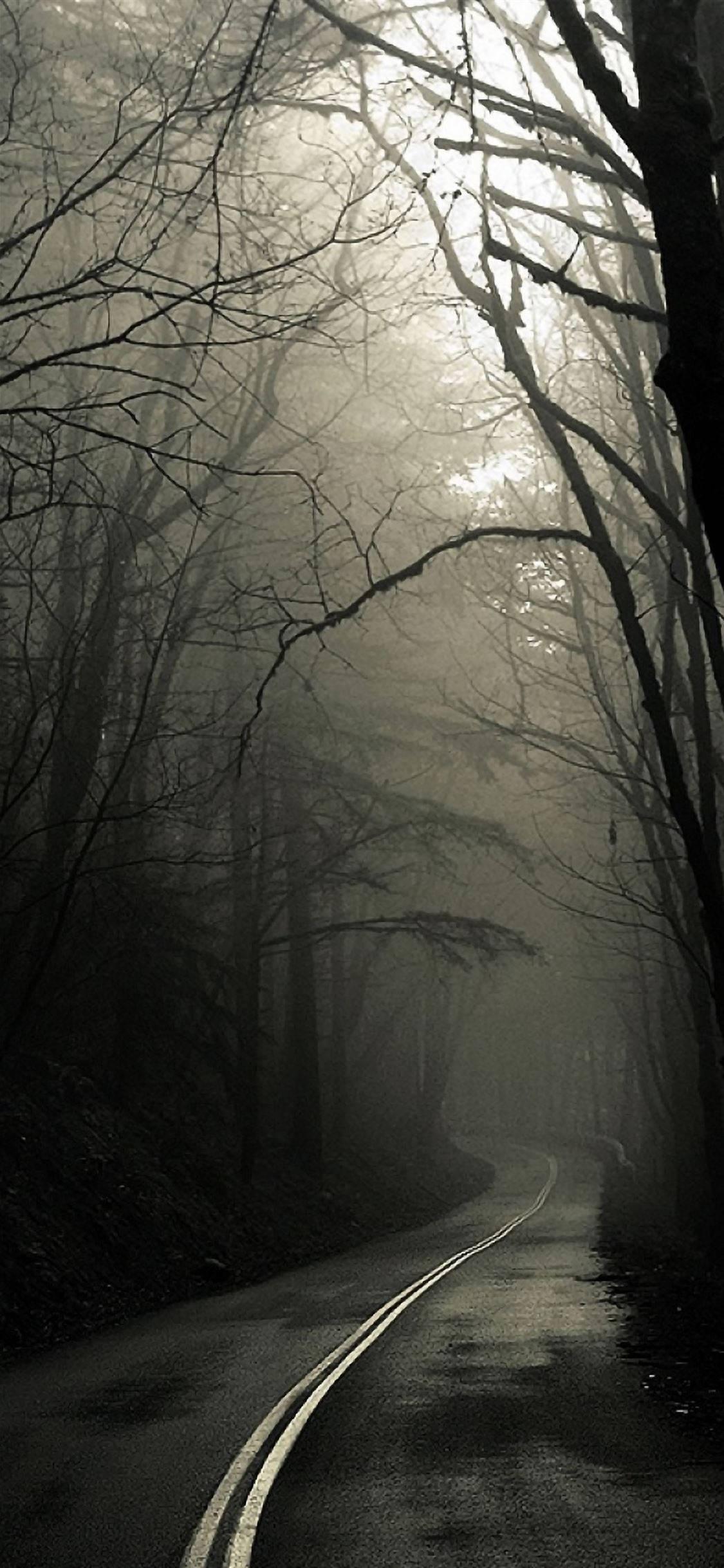 Foggy Forest Road iPhone Dark — 1125x2436 wallpaper